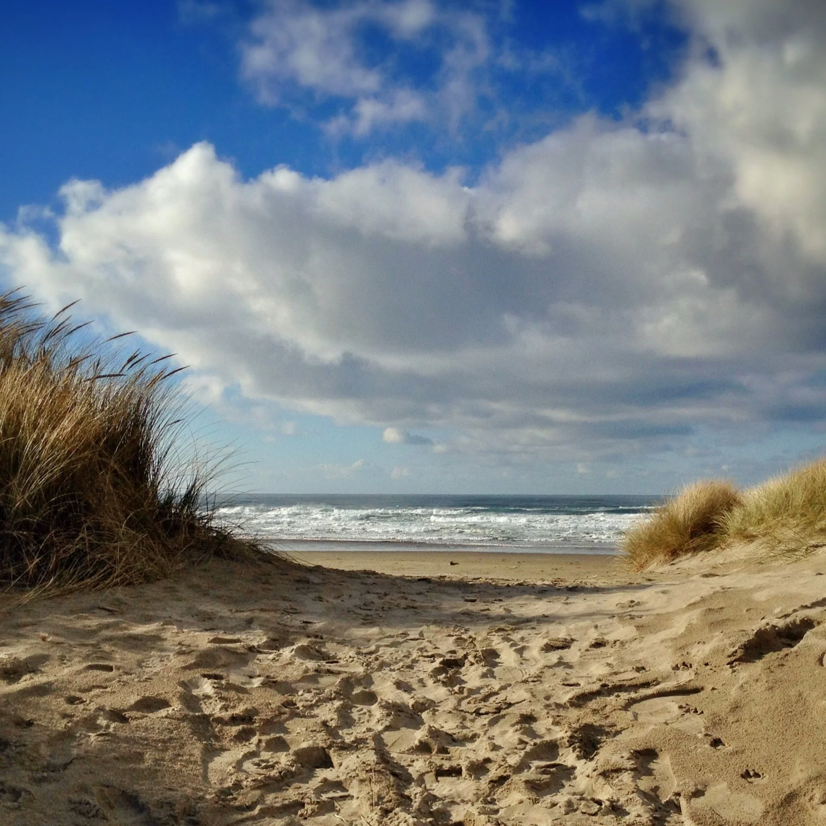 Neport Oregon - Beach Access.jpg