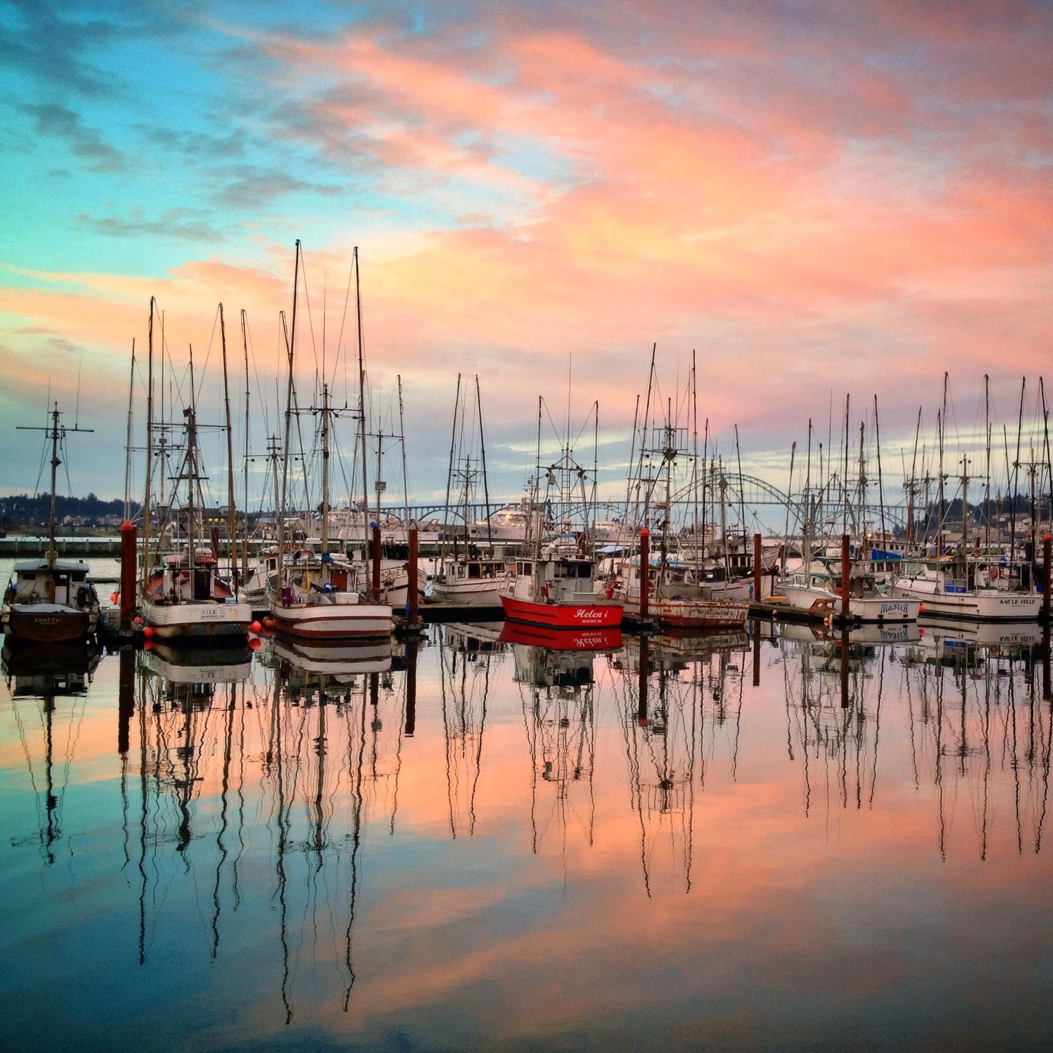 Newport Bay Boats.jpg