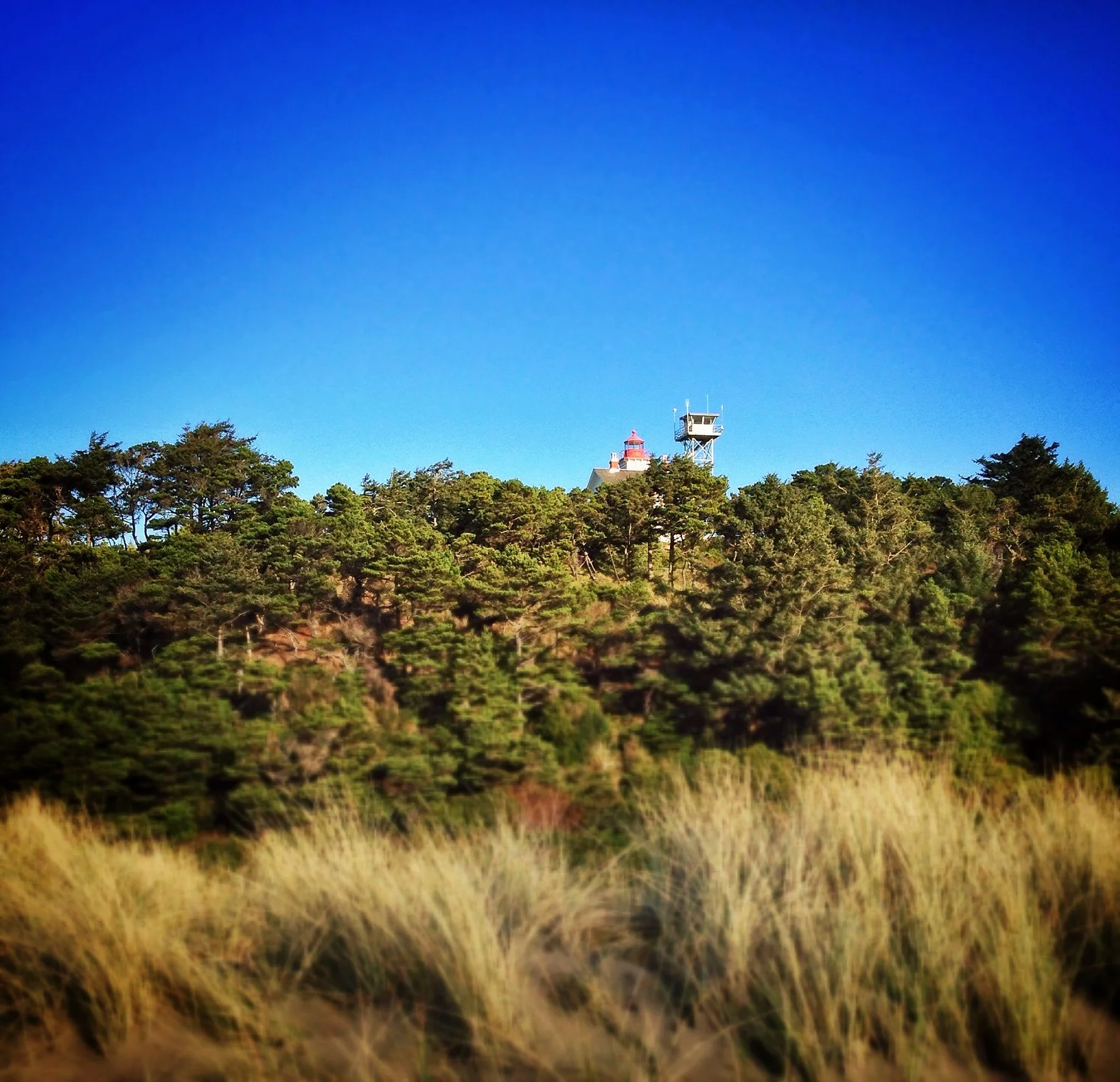 Newport Lighthouse.jpg