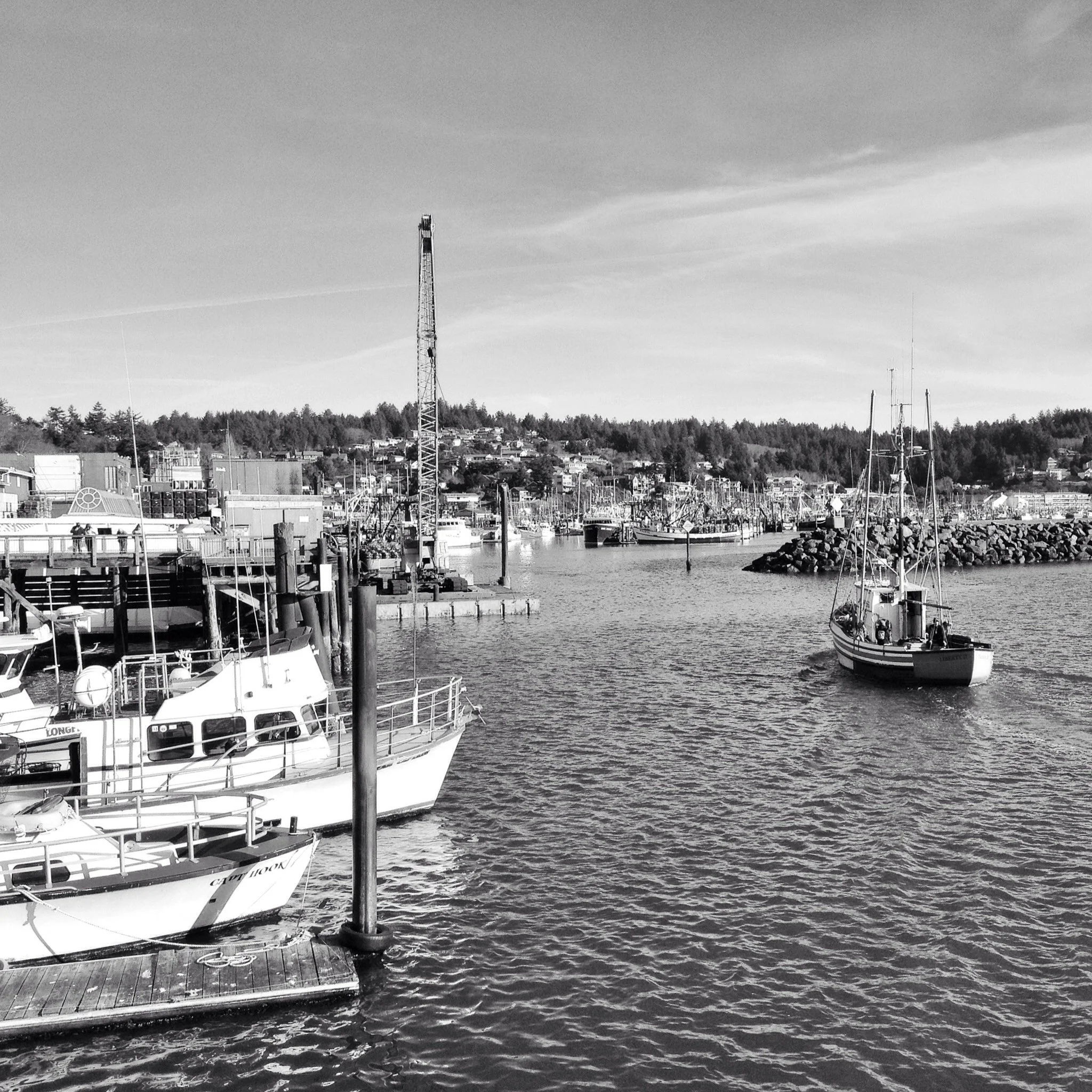 Newport Bay.jpg