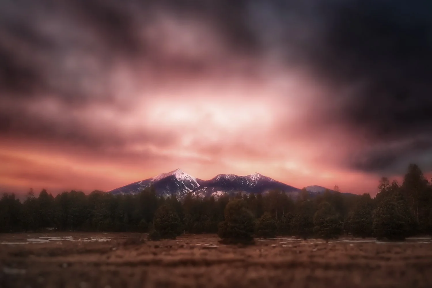 Agassiz Pink Sunset.jpg