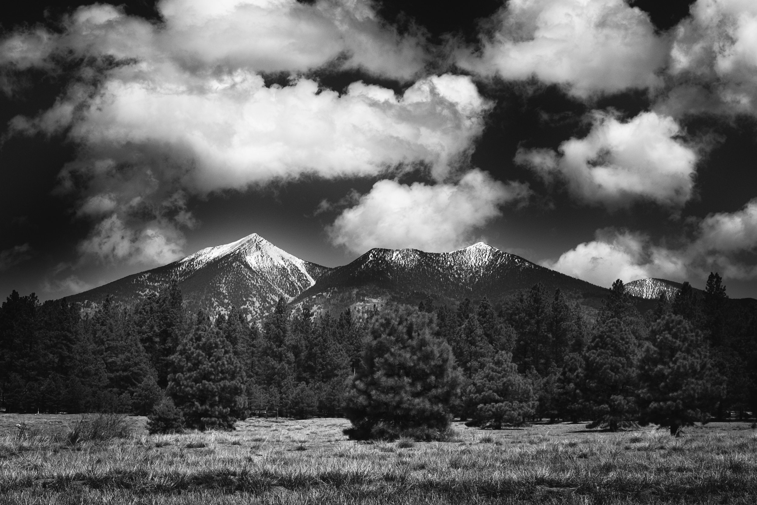 Mt Agassiz BW.jpg