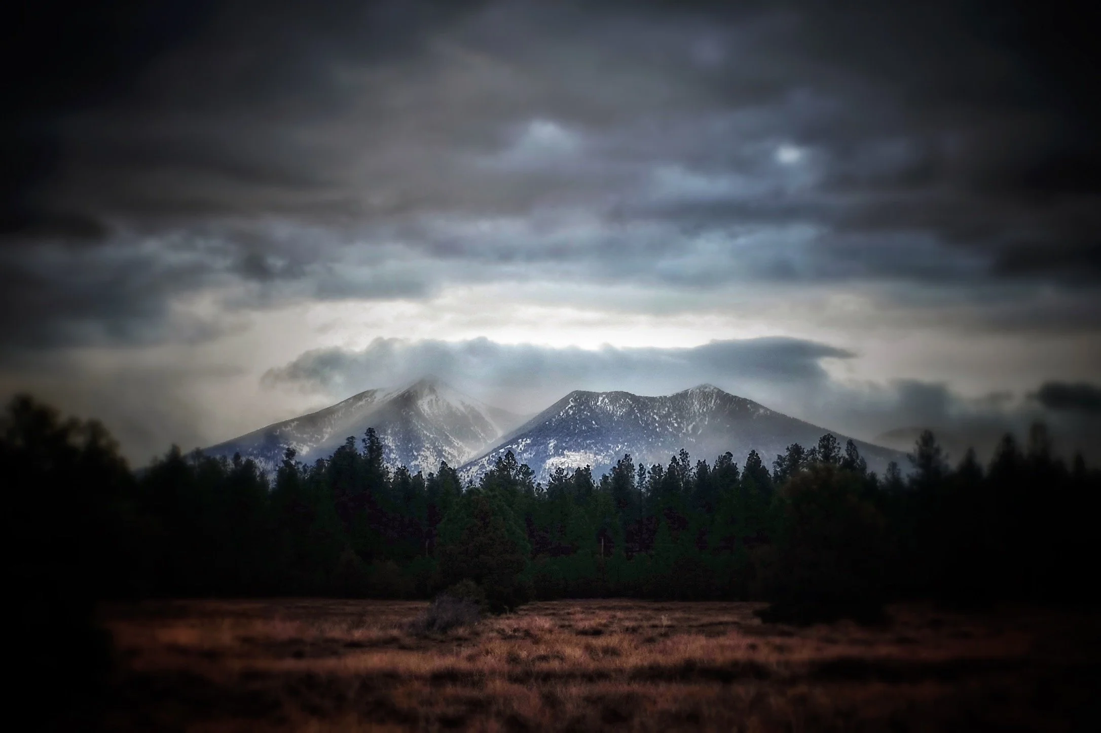 Mt Agassiz.JPG