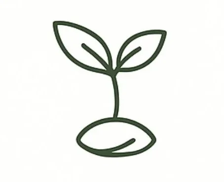 The Seed | Essence Report