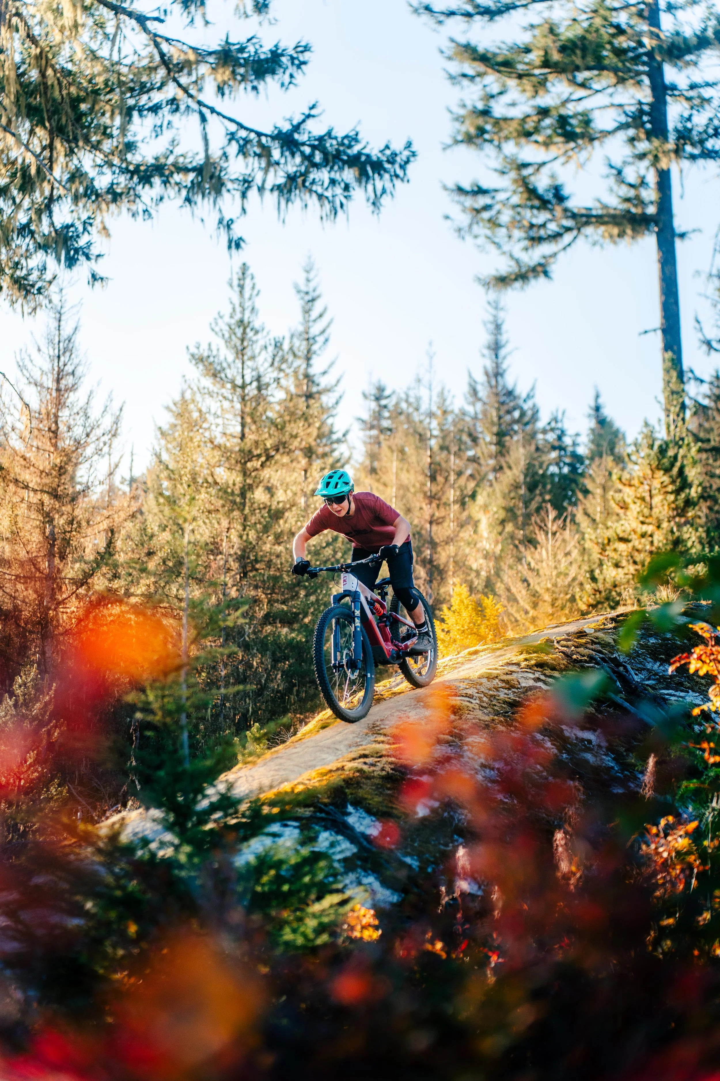 TORRAS - UGC Video