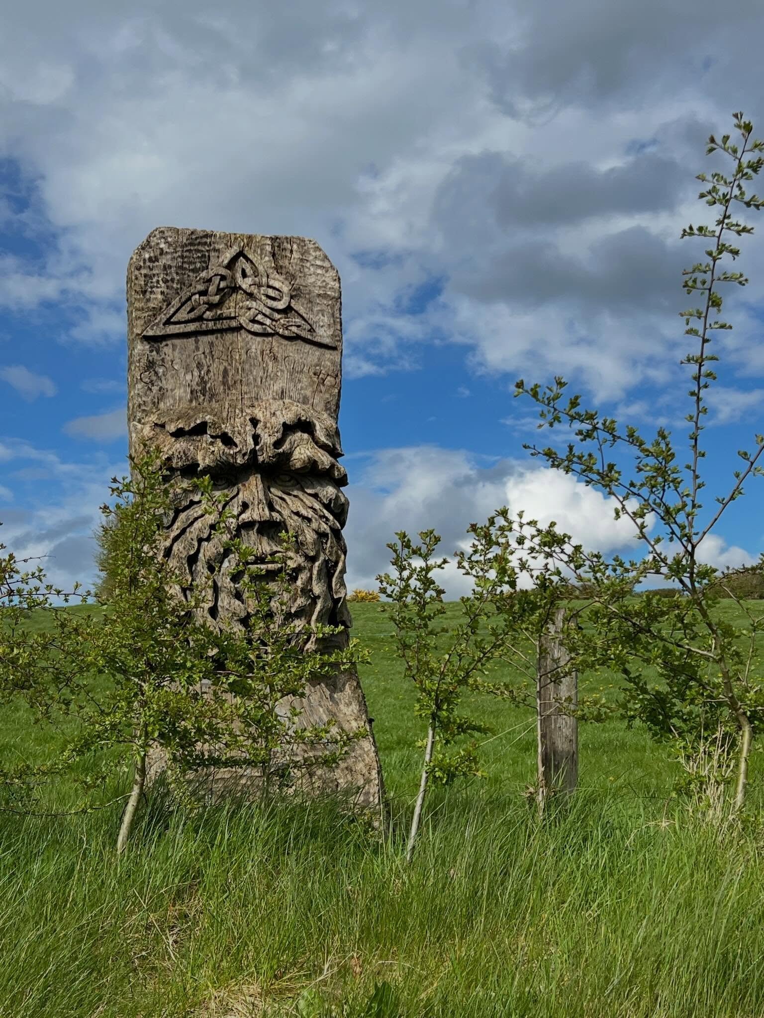 Beltane blessings, Uishinish, one of the sacred centres of Ireland, Westmeath

#beltane #elandbooks #classictravel #roseandbarnabyinireland #uishinish