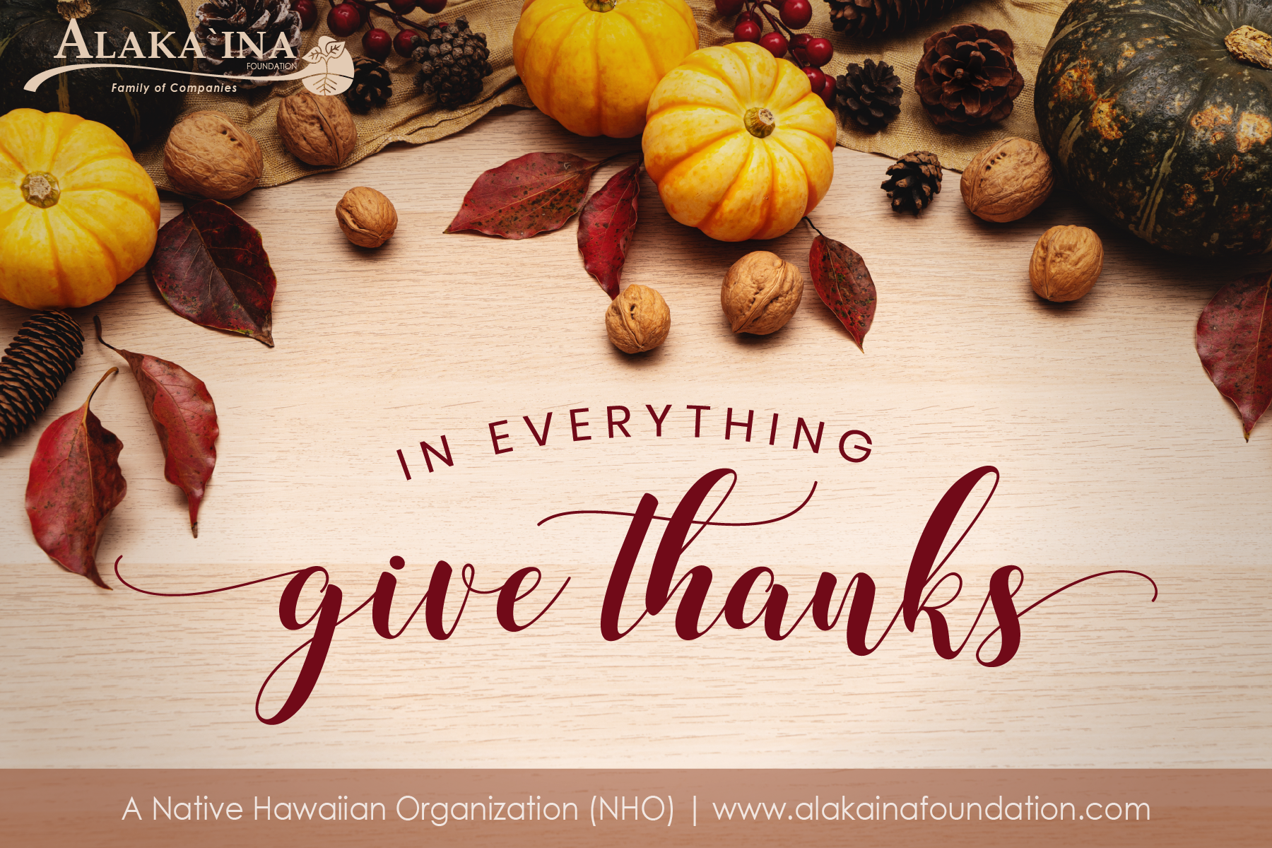 BD_CampaignImage_Thanksgiving 2025- Final.png