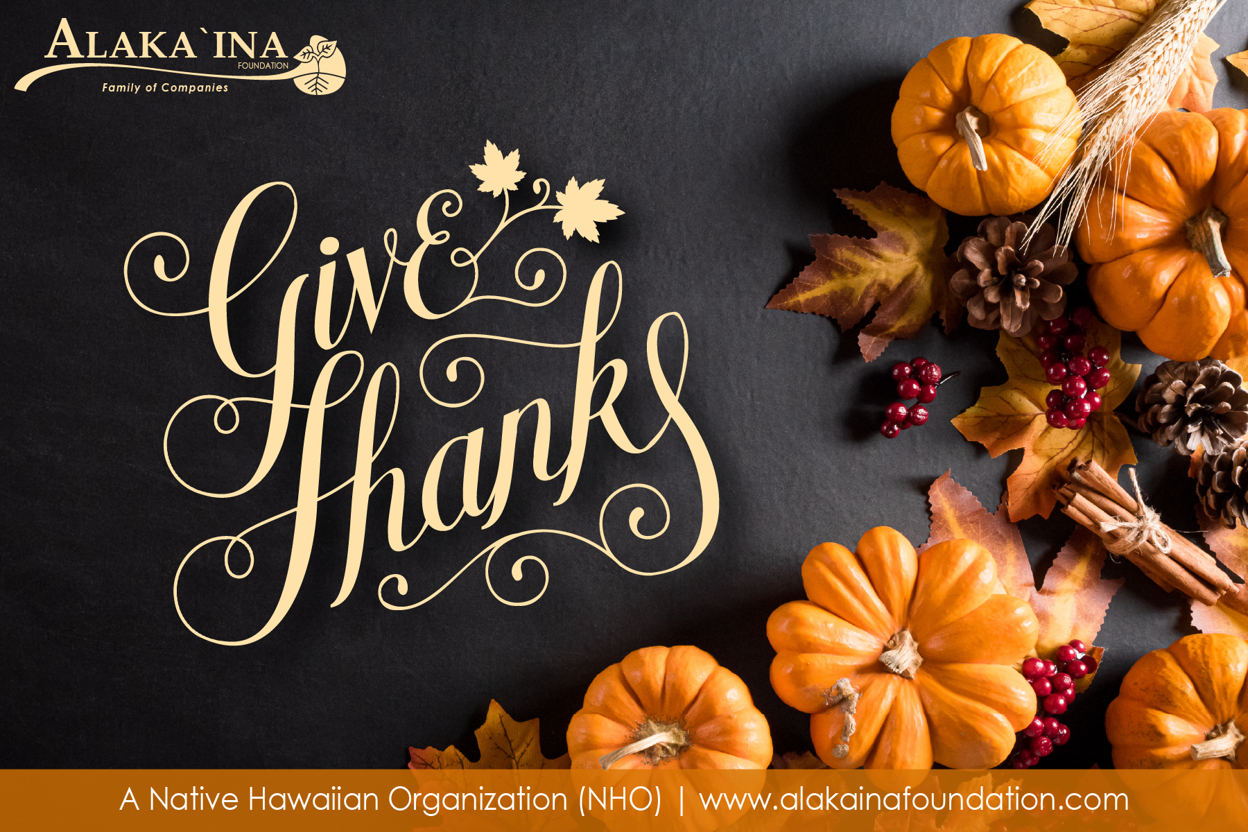BD_CampaignImage_Thanksgiving 2026_Option 1.png