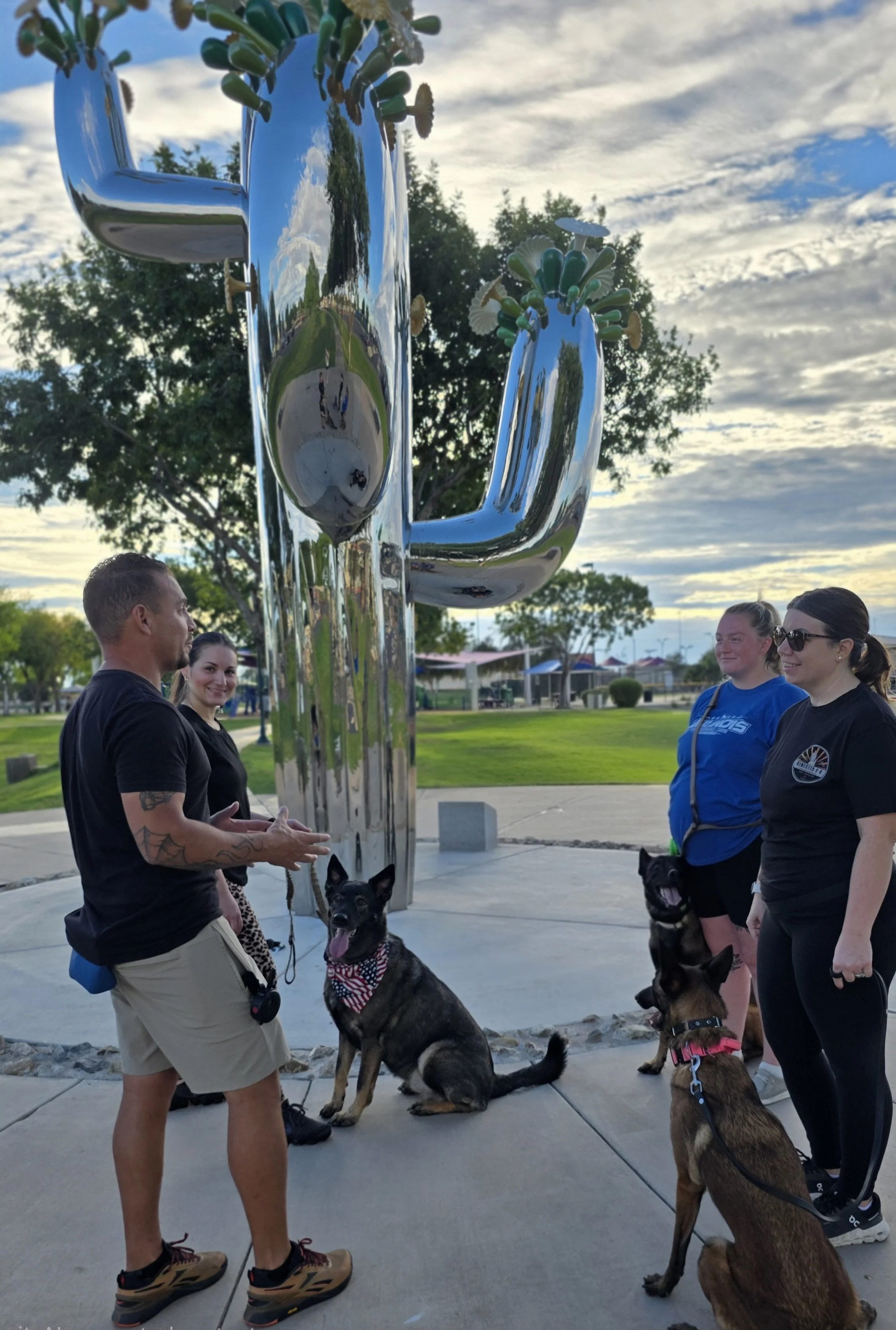 Kinected K-9 AZ group socialization and obedience session in public community park