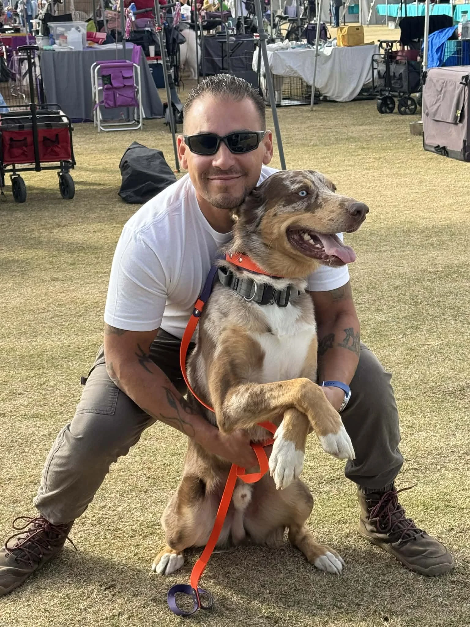 Balanced dog training session working on handler engagement and focus in Surprise AZ