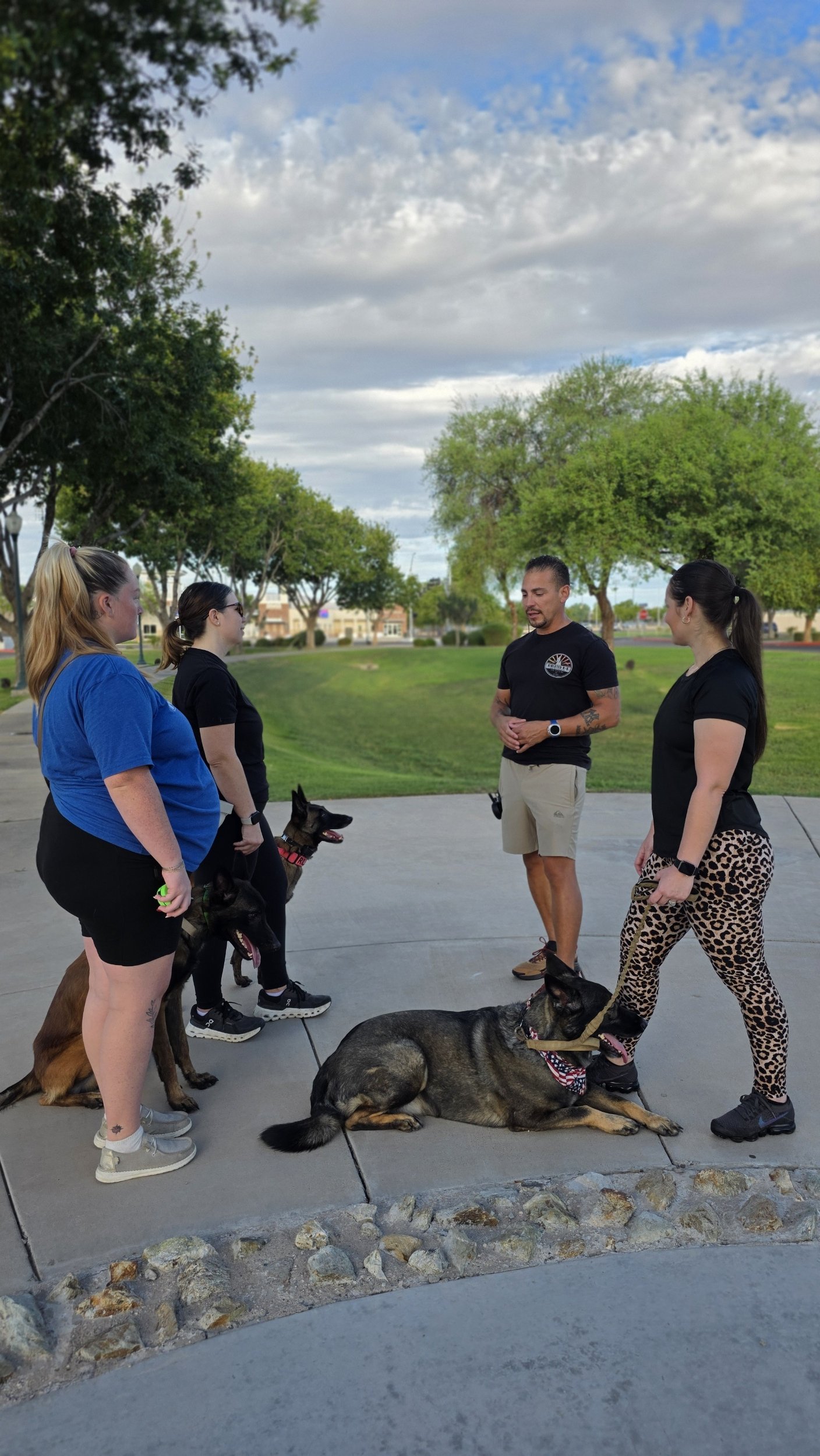 Group dog training class in Surprise AZ focusing on real-world handler focus and leash manners