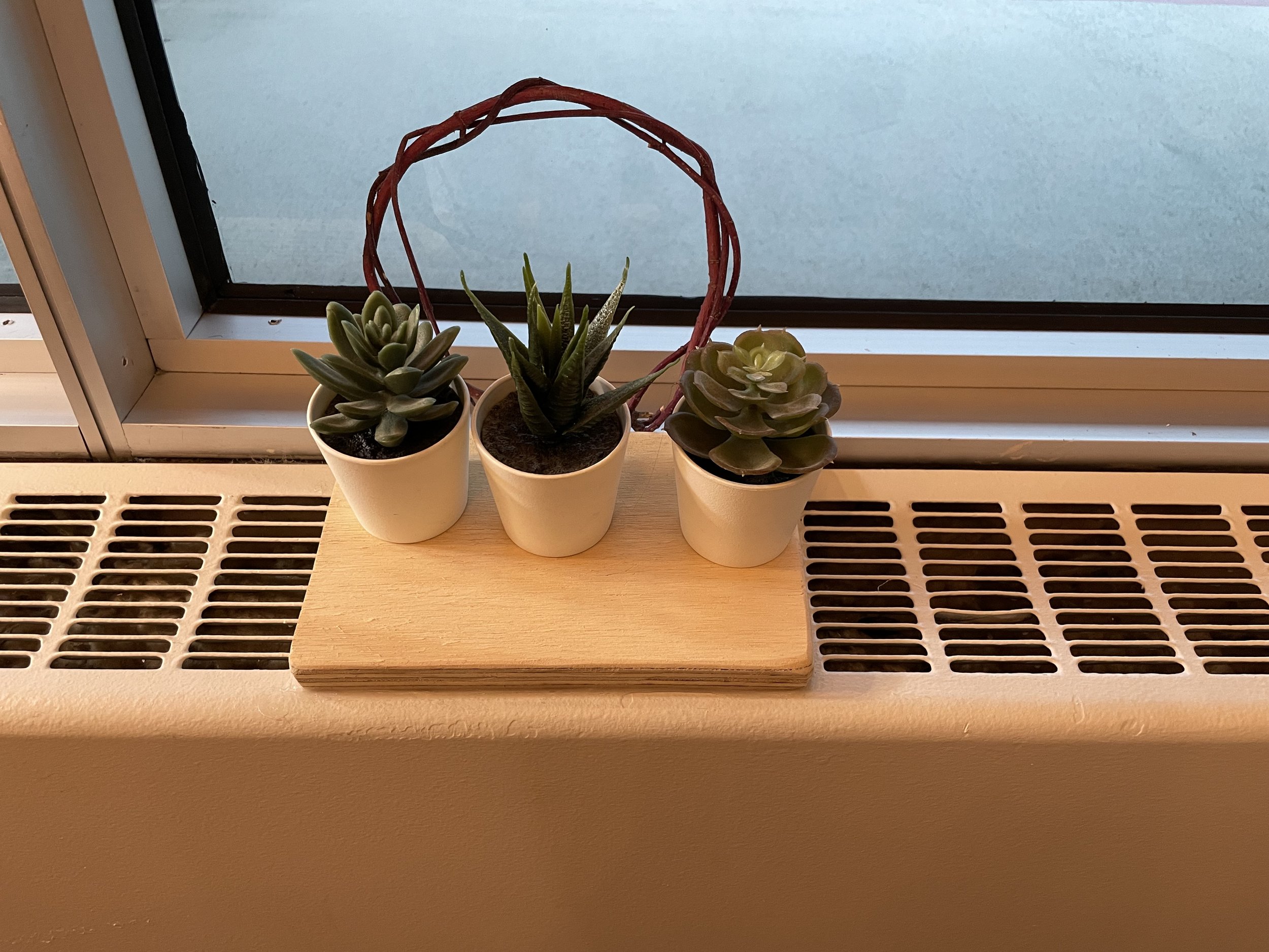 mental health therapy office