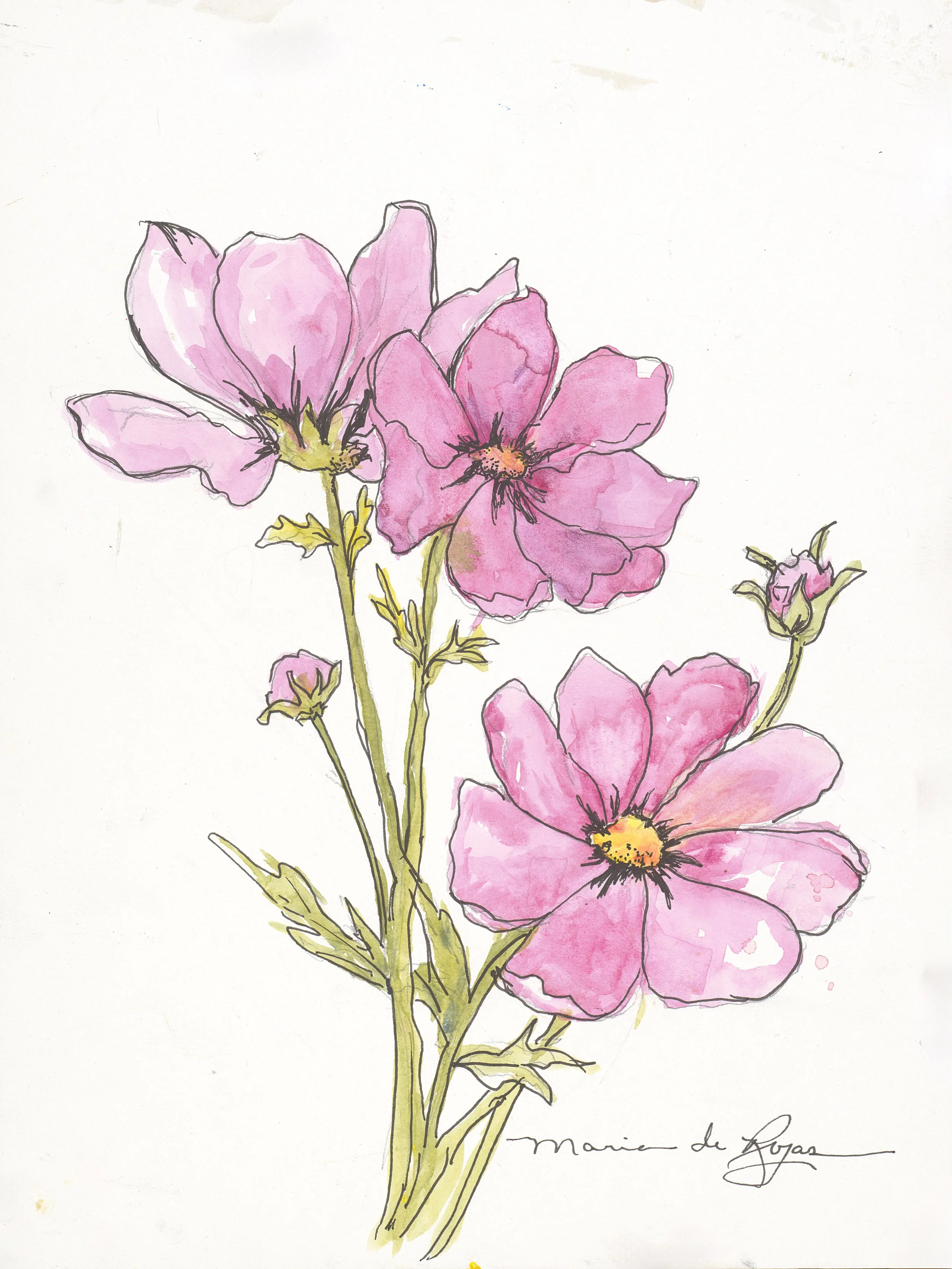 124 Rosey Cosmos Final OS.jpg