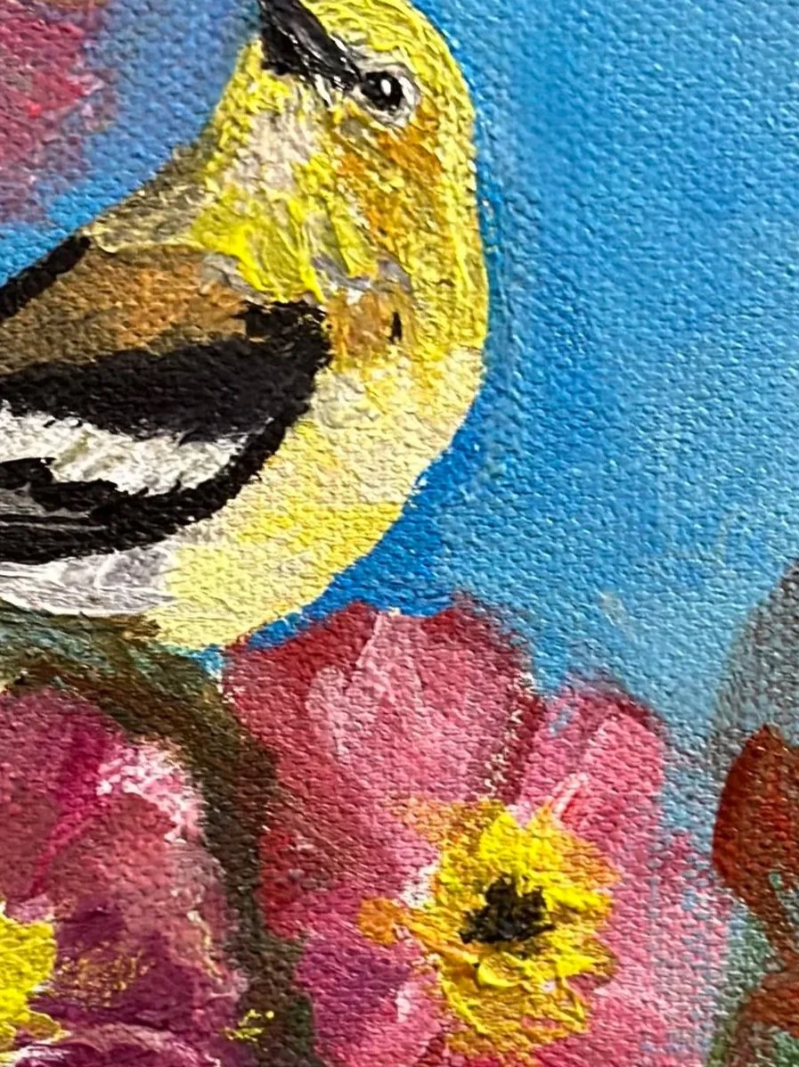 Goldfinch+in+Pink+f.jpg