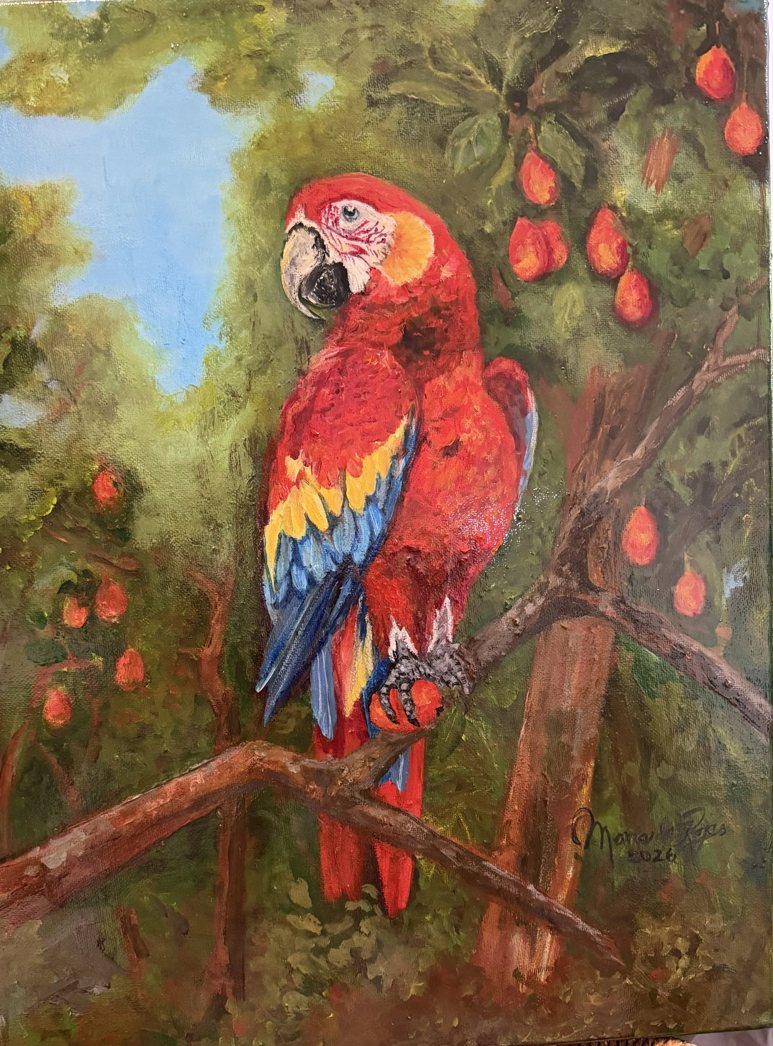 Tropical Splendor: Red Macaw with Mango Painting