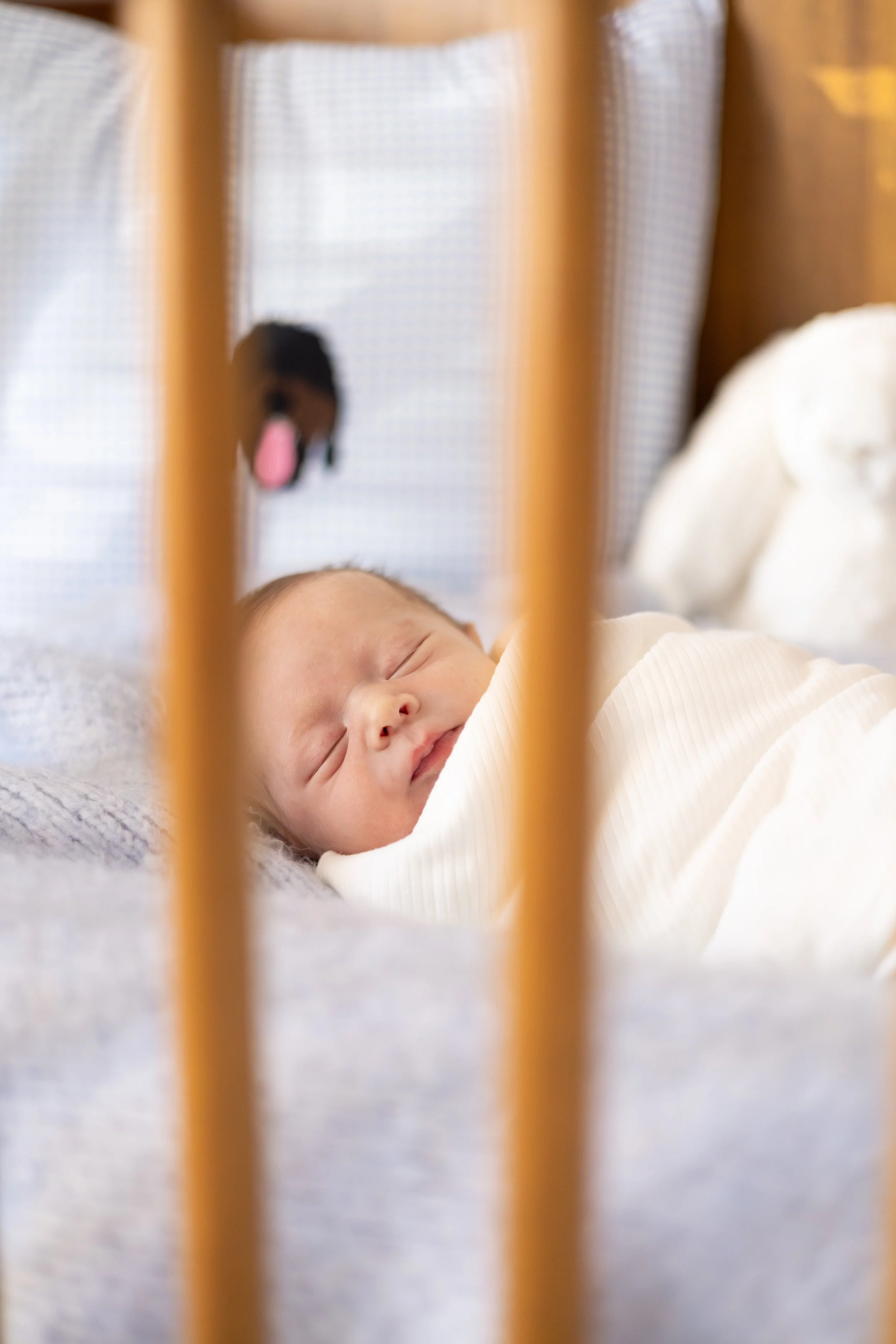 Newborn2025-20.jpg