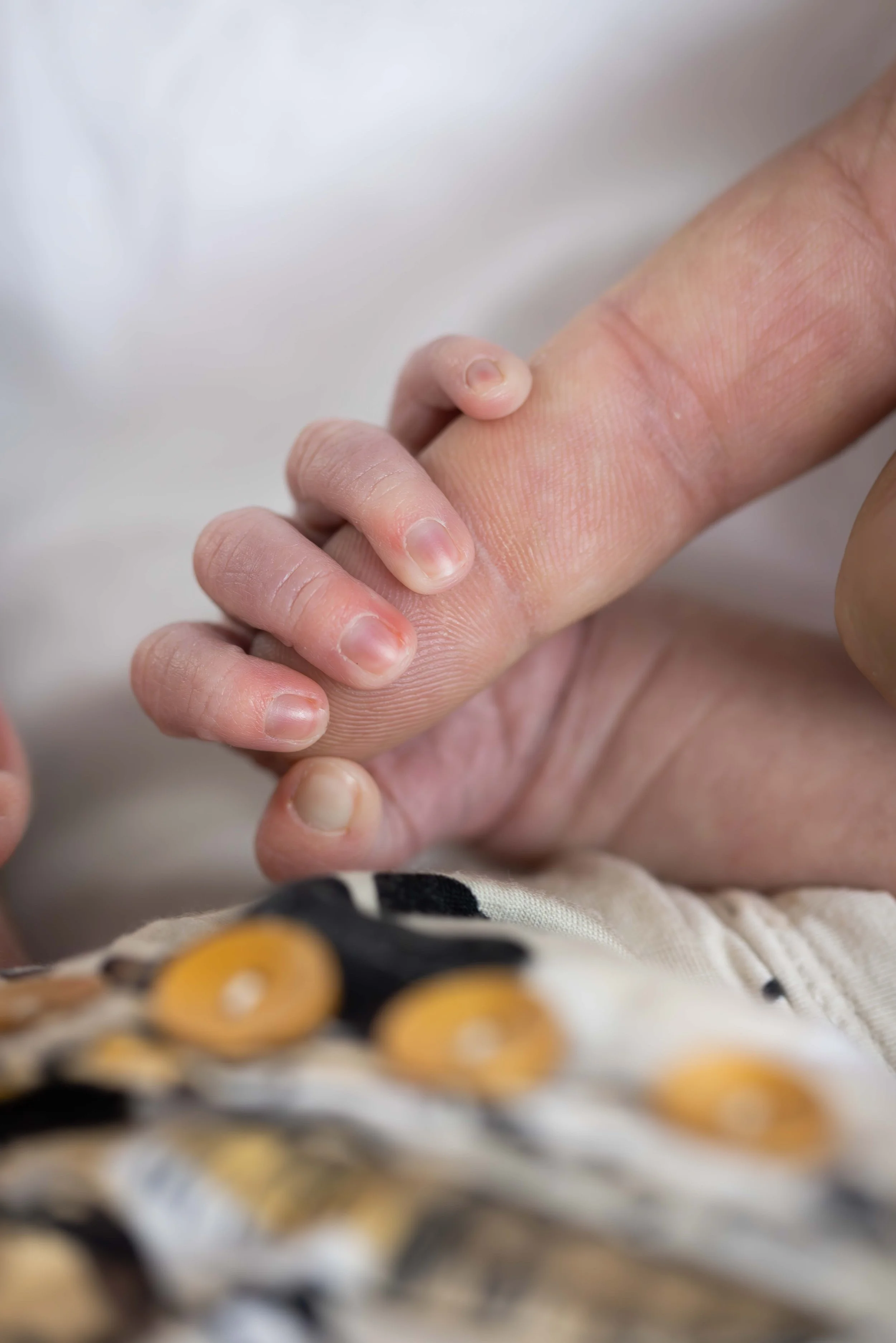 newborn PHOTOS-24.jpg