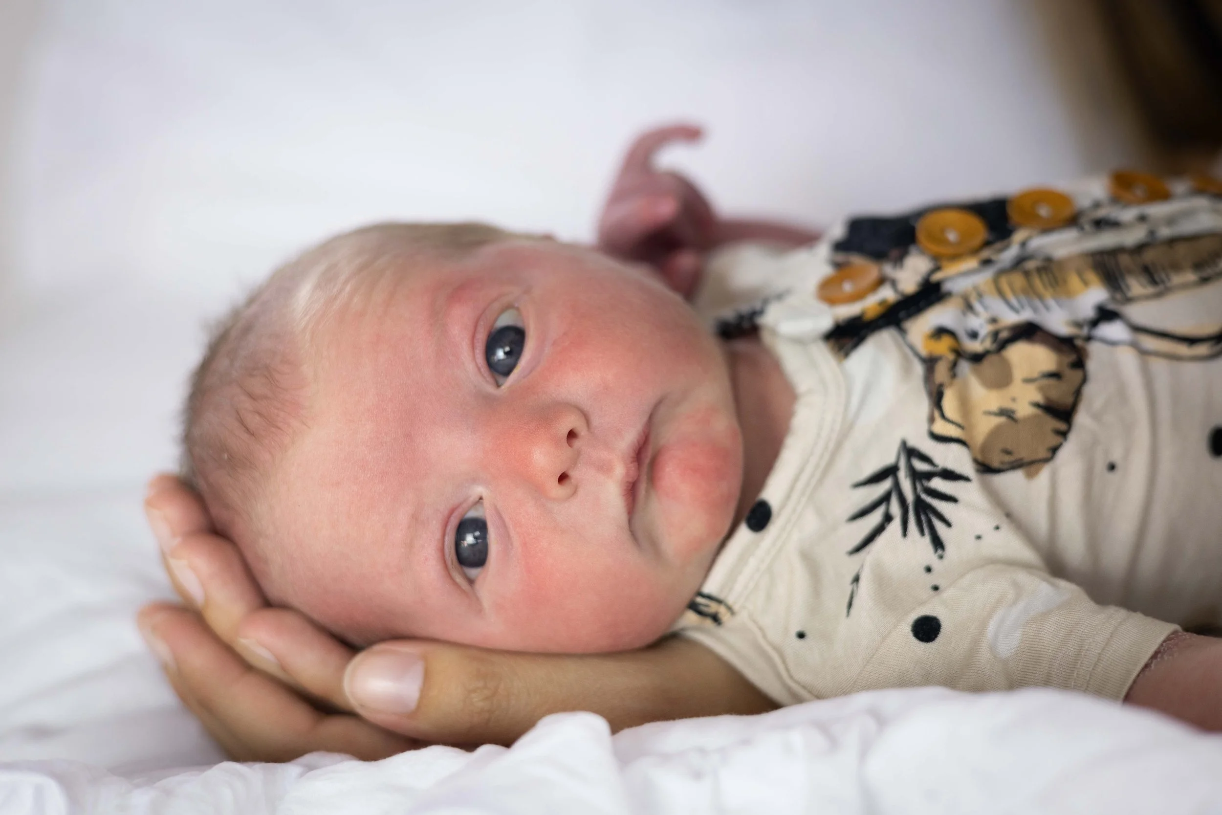 newborn PHOTOS-22.jpg