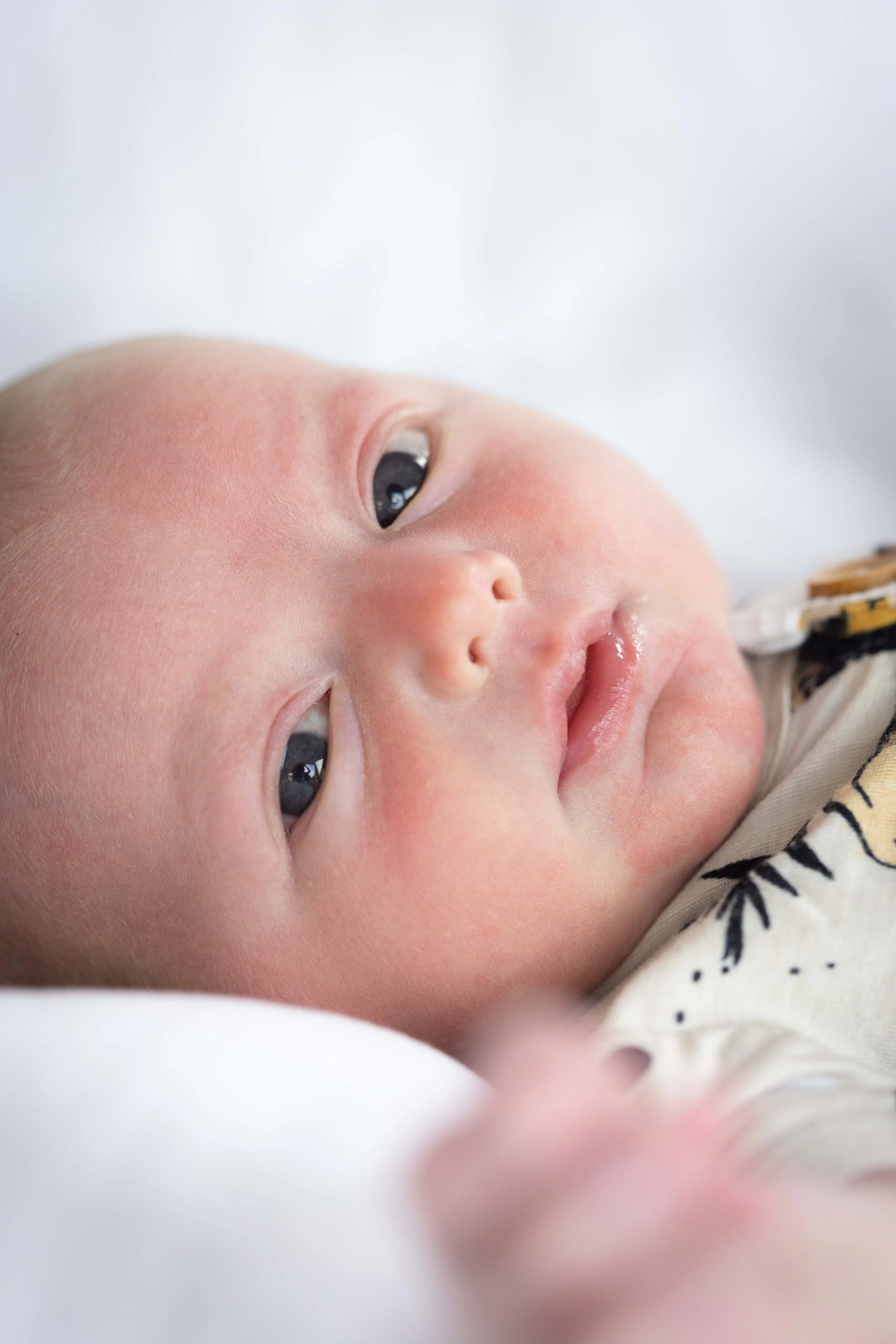 newborn PHOTOS-23.jpg