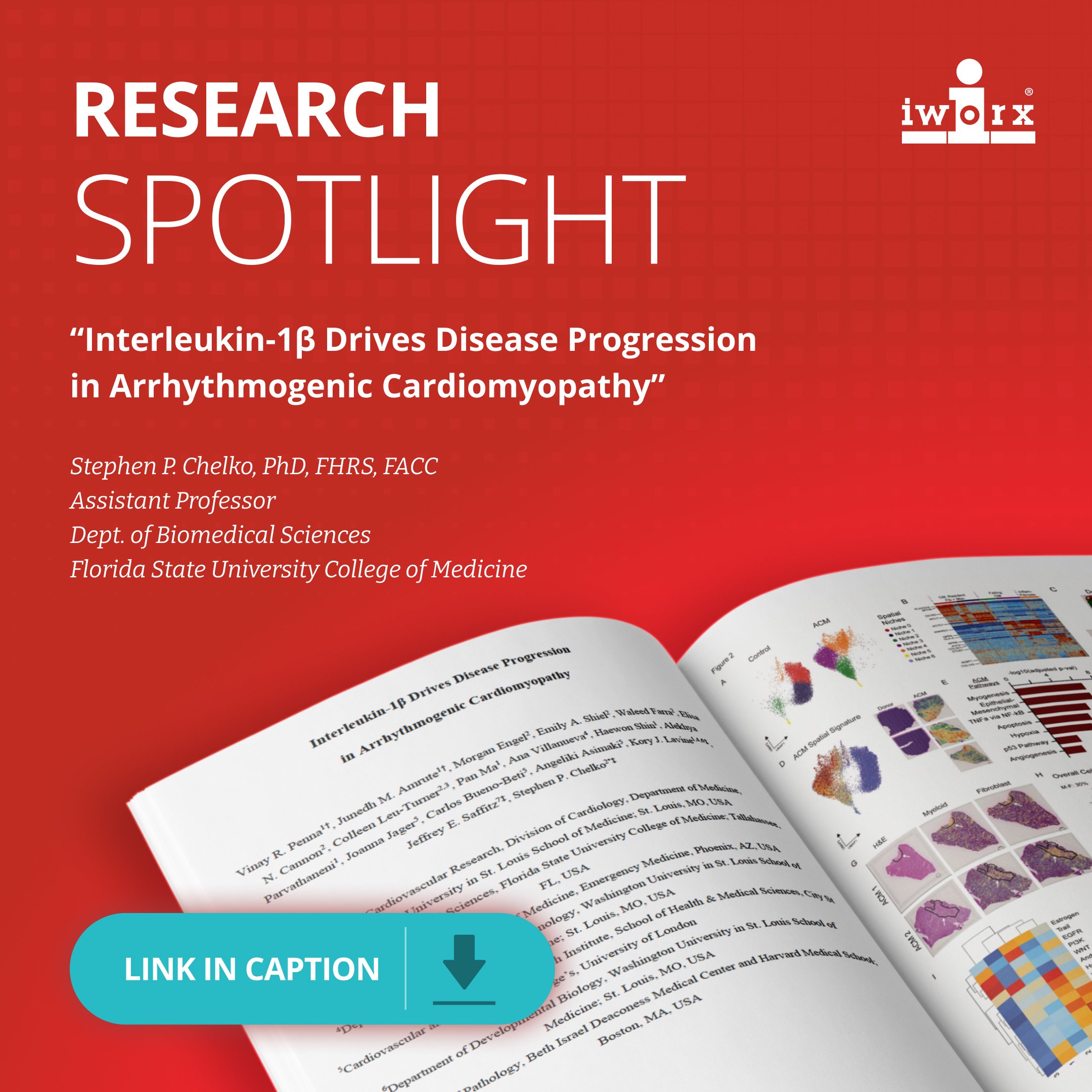 iworx-research-spotlight.jpg