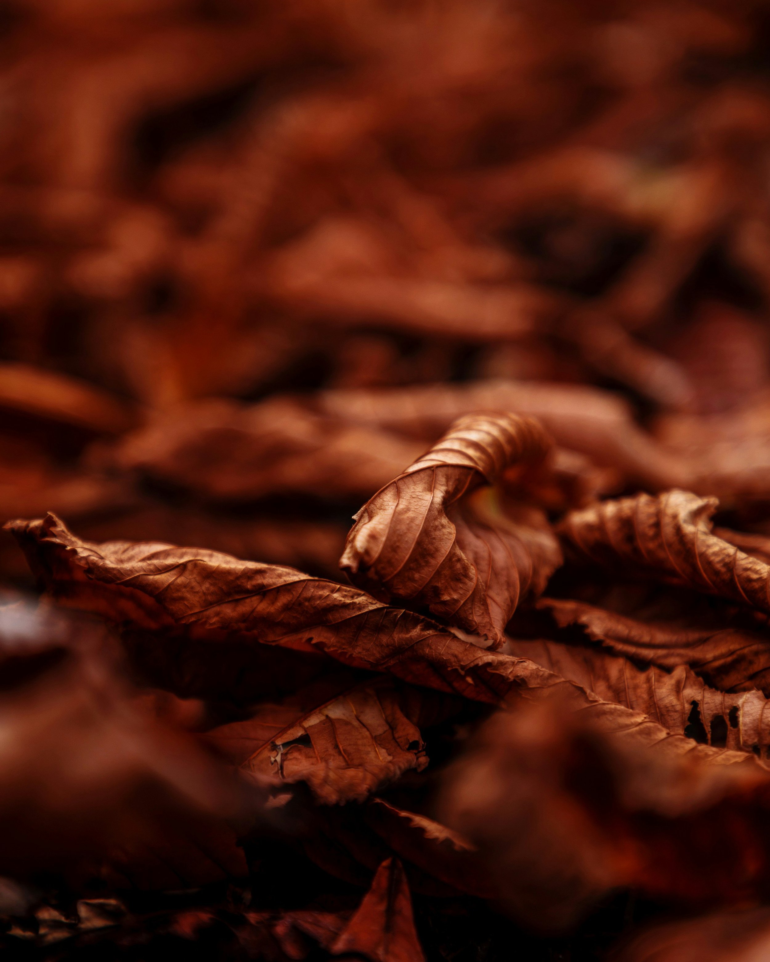Tobacco Talk