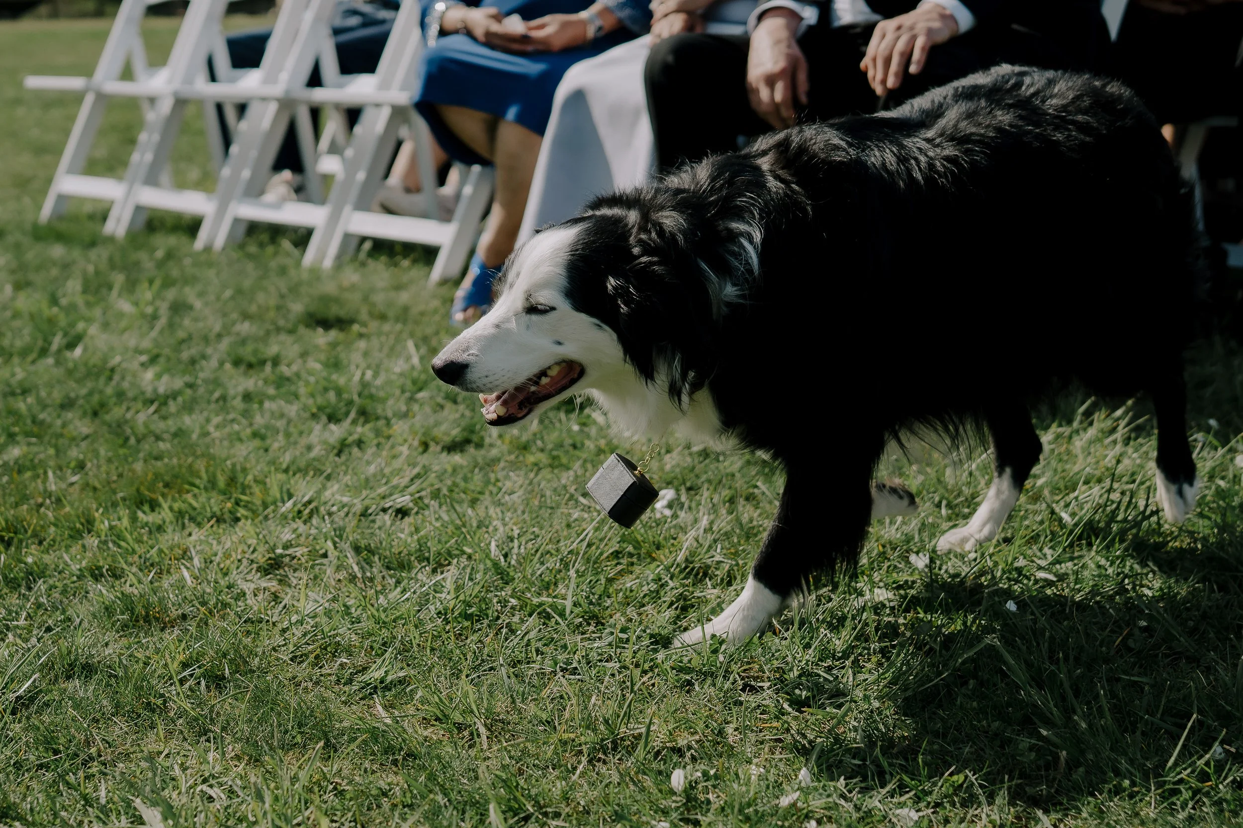 H&S Fraser River Lodge wedding by www.dynamicweddings.ca Officiant DJ photographer Vancouver wedding-54.jpg