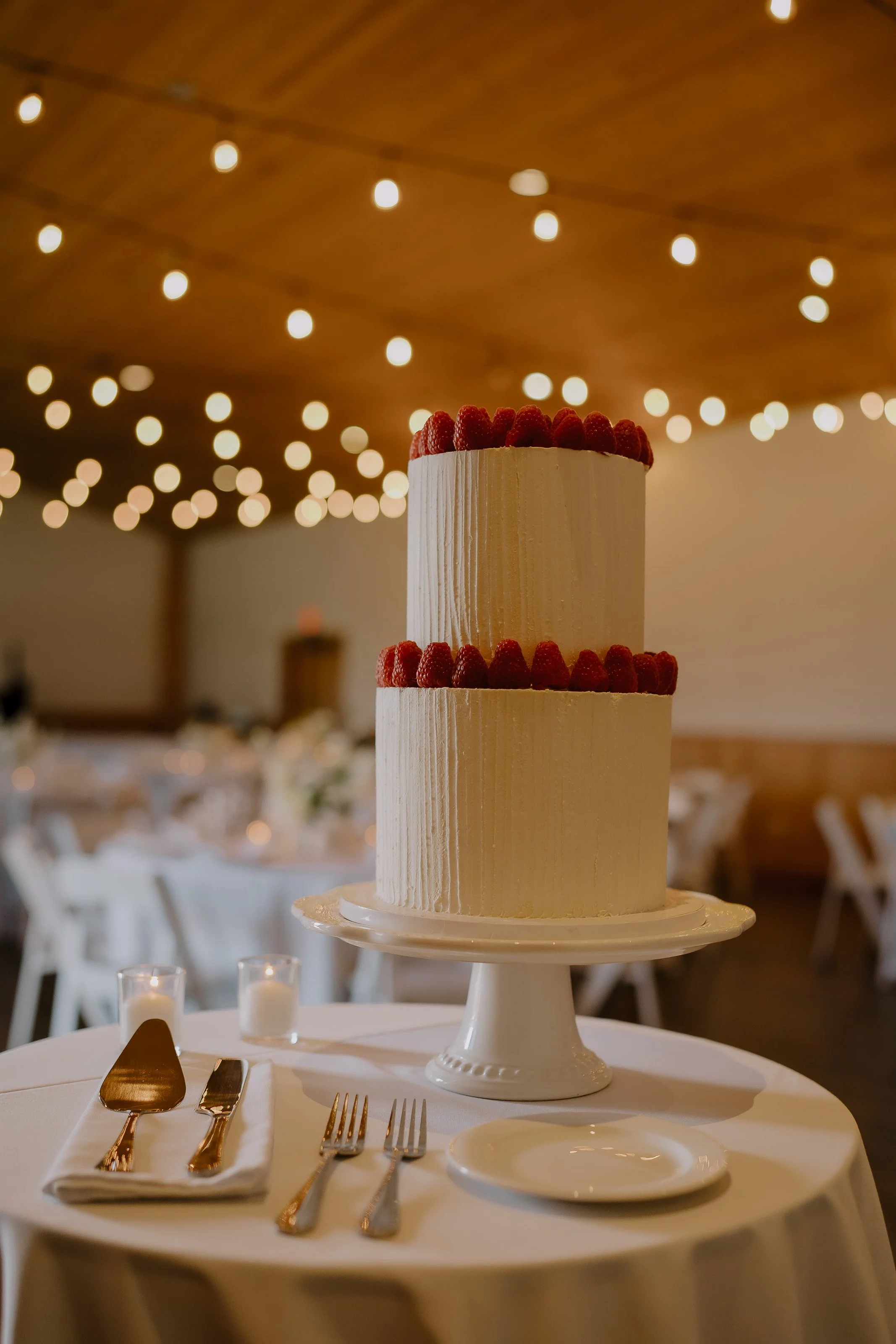 H&S Fraser River Lodge wedding by www.dynamicweddings.ca Officiant DJ photographer Vancouver wedding-87.jpg
