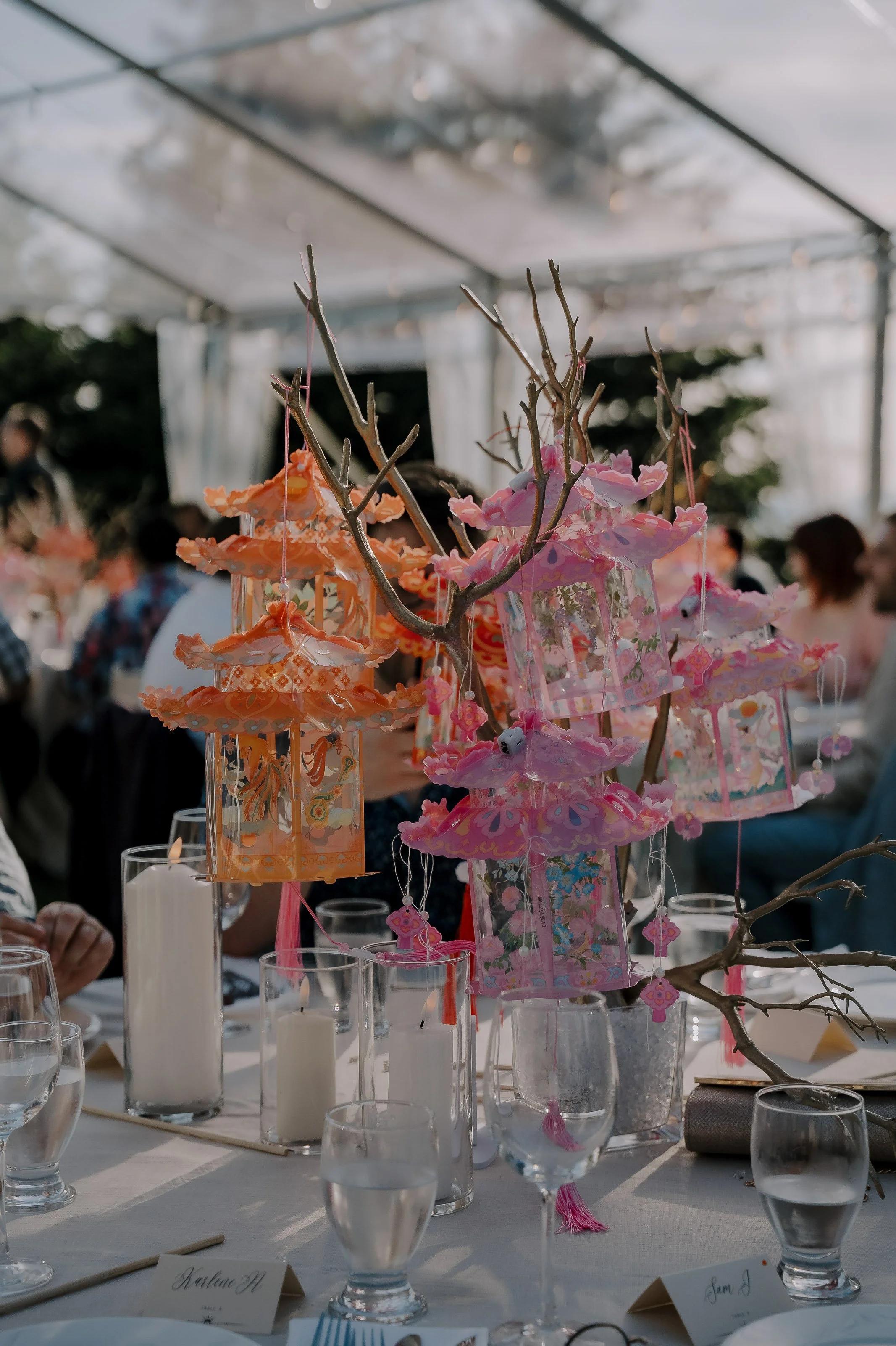 H&A Dynamic Weddings photography photographer Rockwater secret cove, sechelt officiant, dj, planner, coordinator - -48.jpg