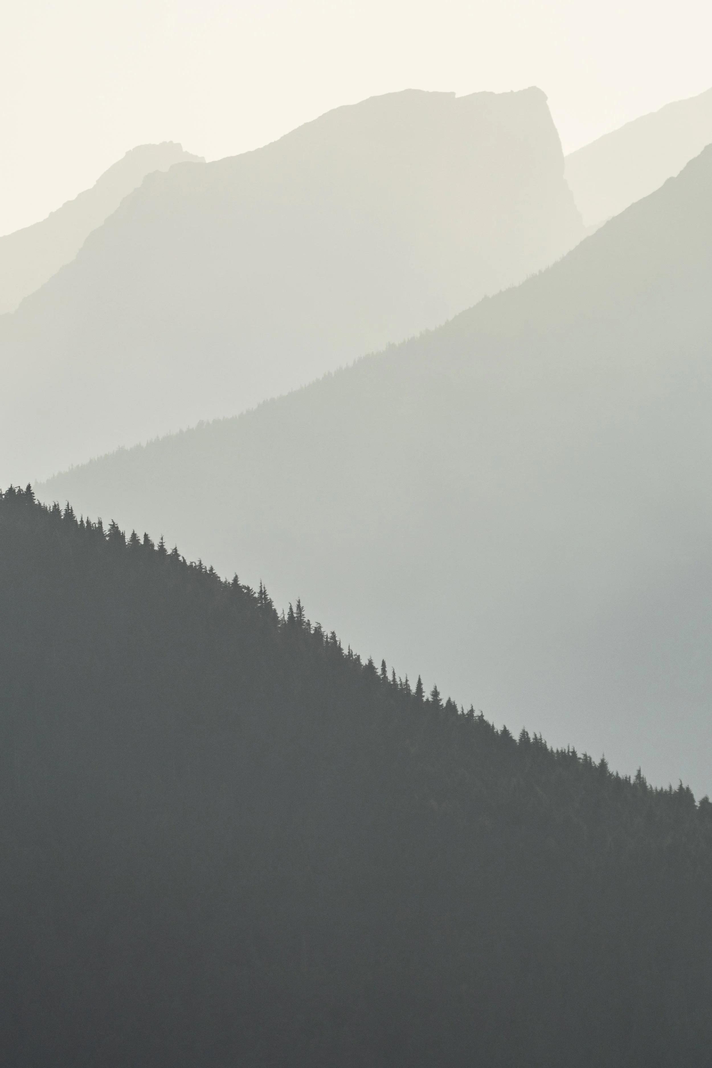 bella coola layers ssp.jpg