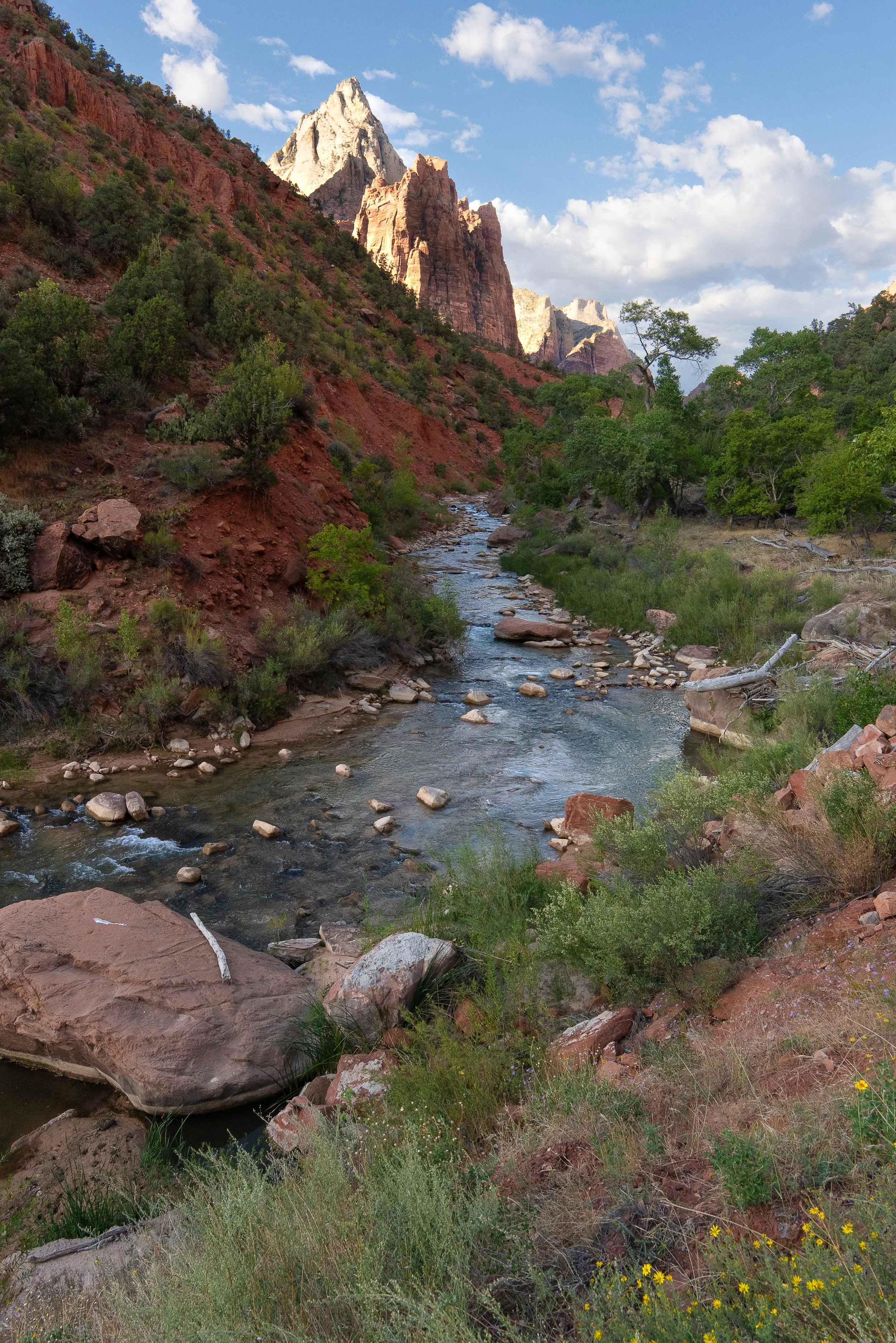 zion canyon ssp.jpg