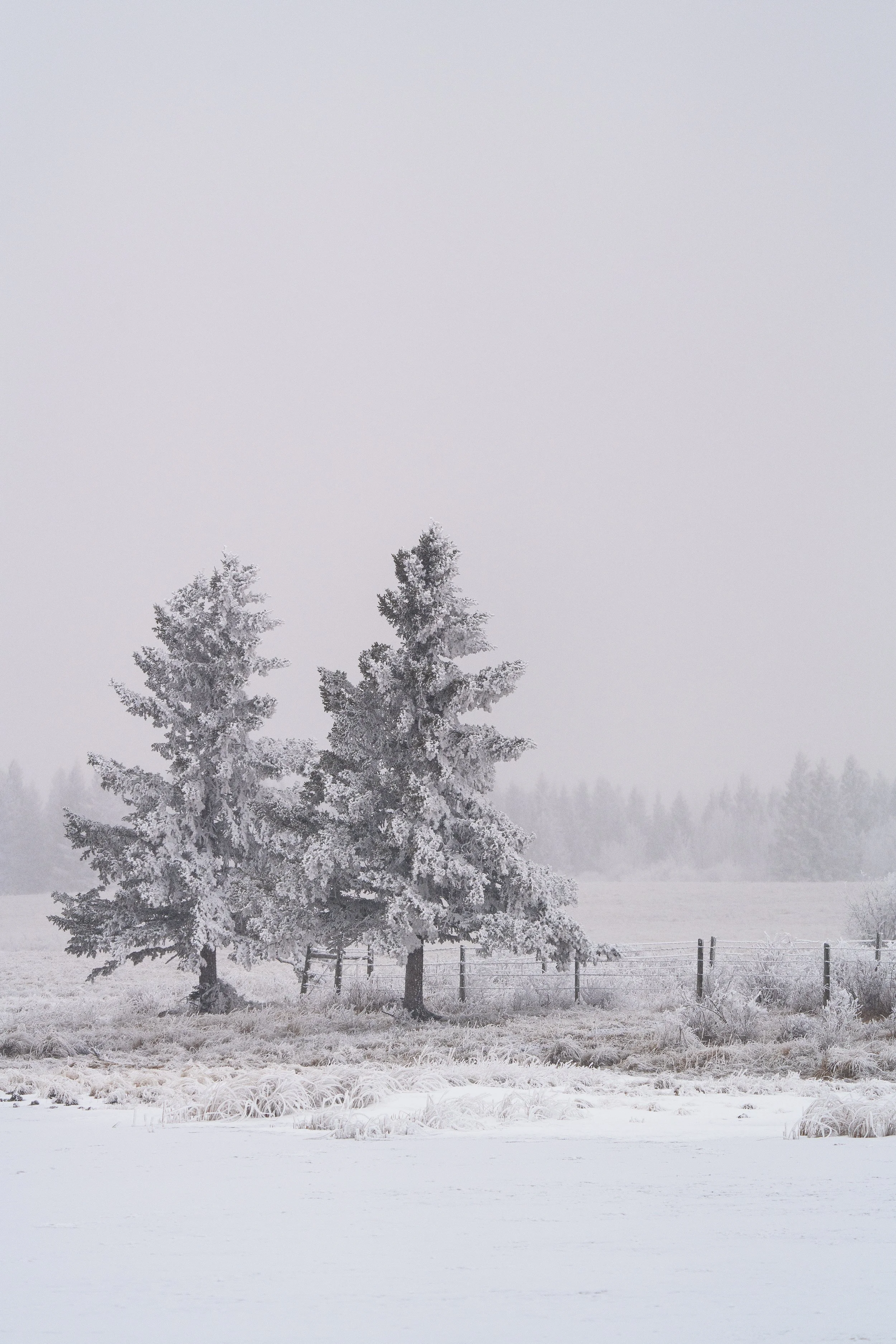 hoarfrost Sspace.jpg