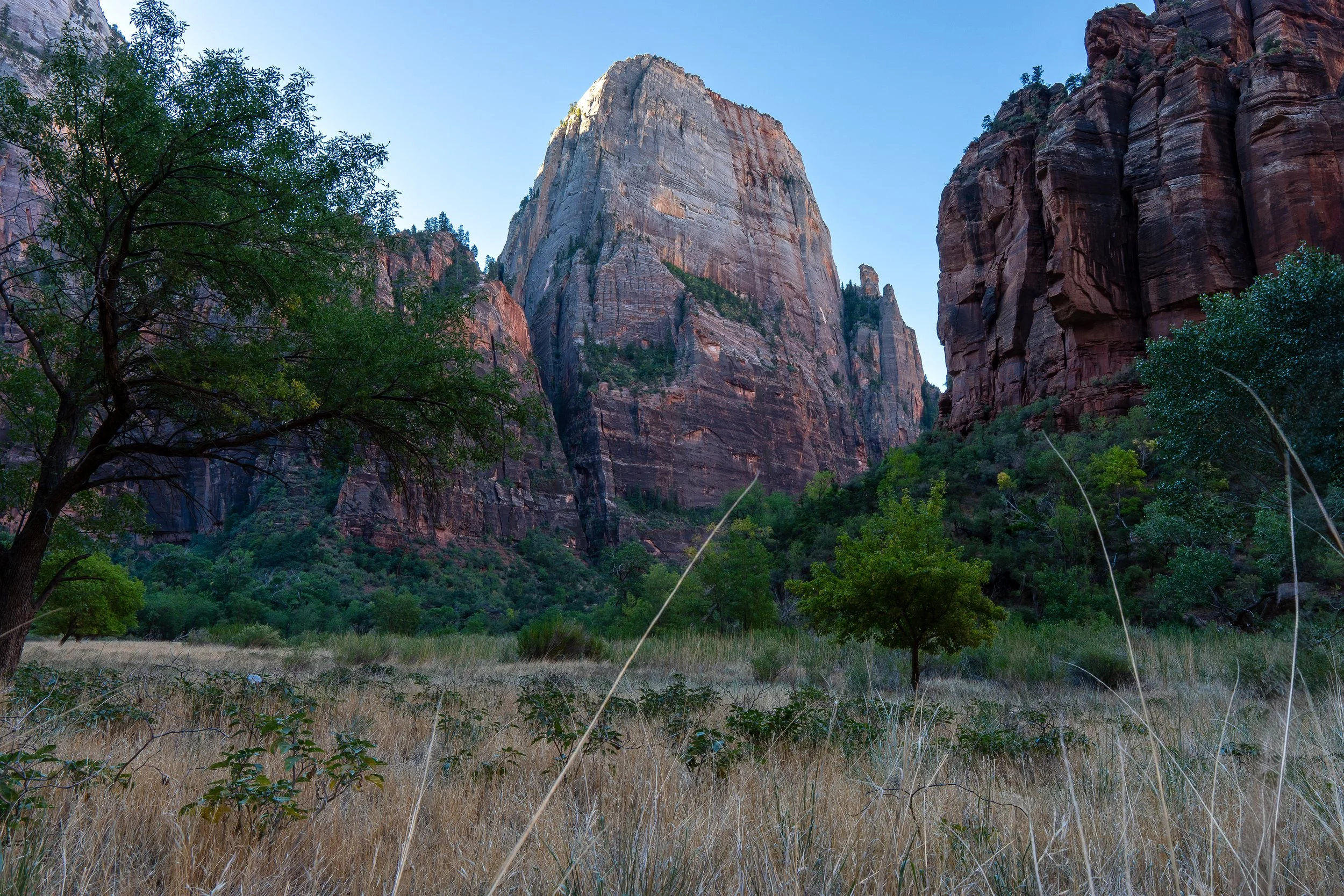 big bend hor2 ssp.jpg