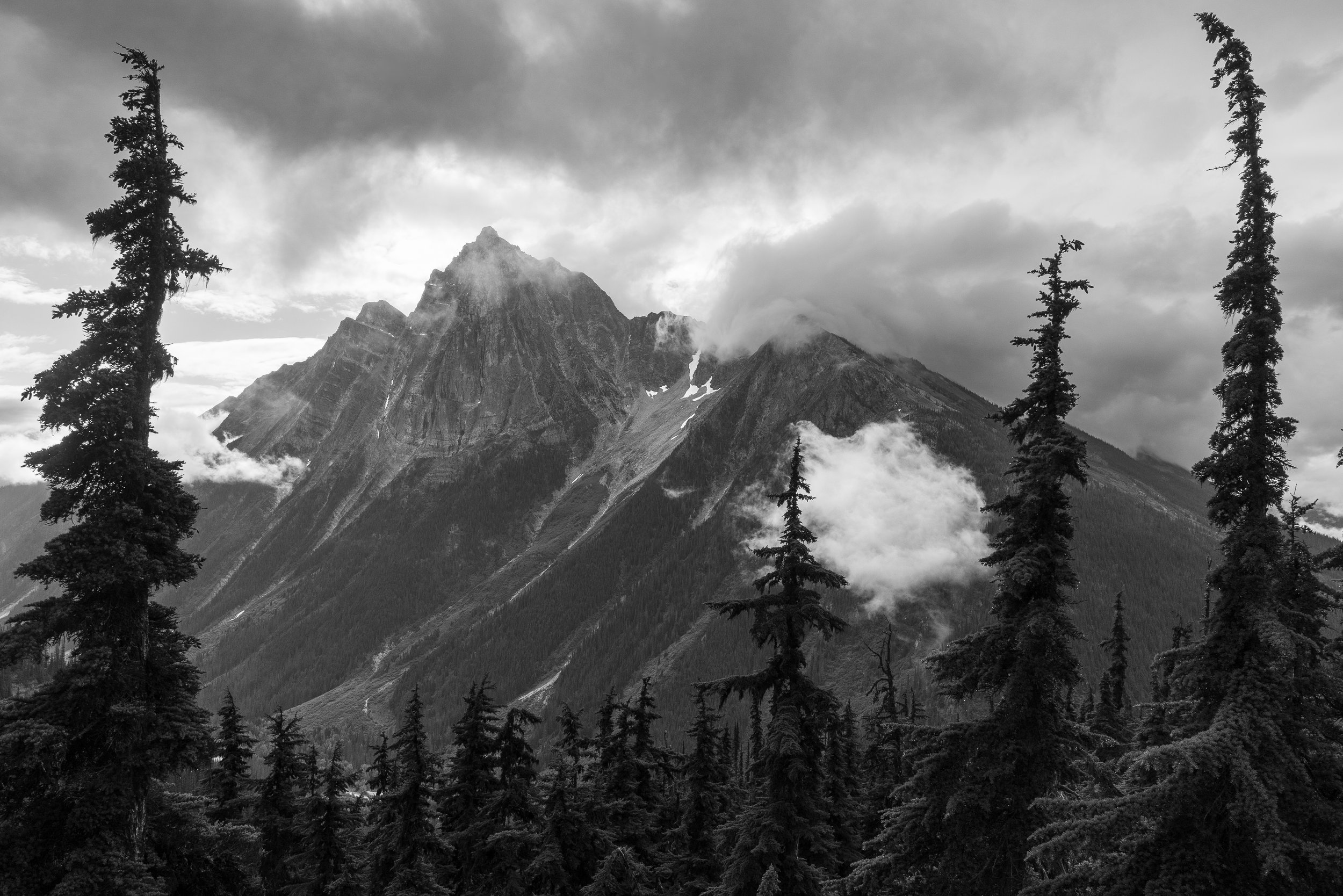 hermit lower bw ssp.jpg