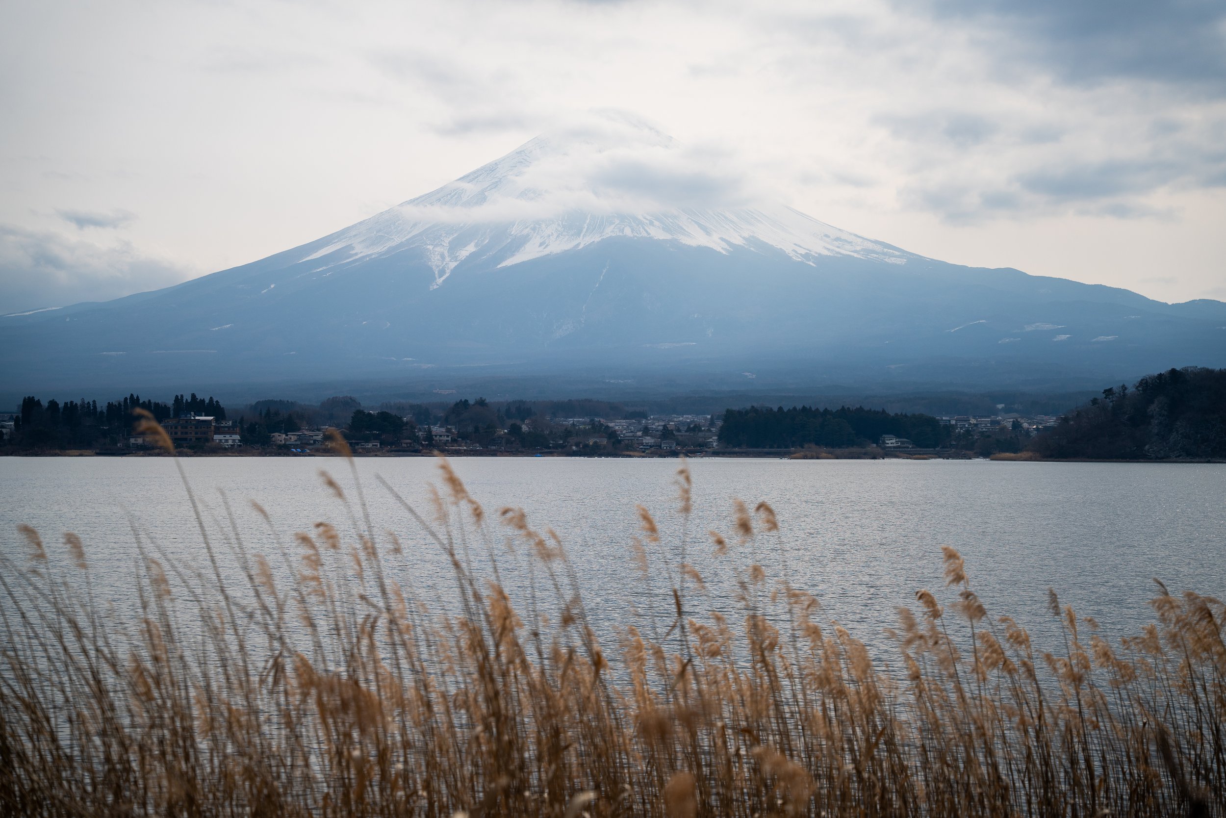 fuji wide ssp.jpg