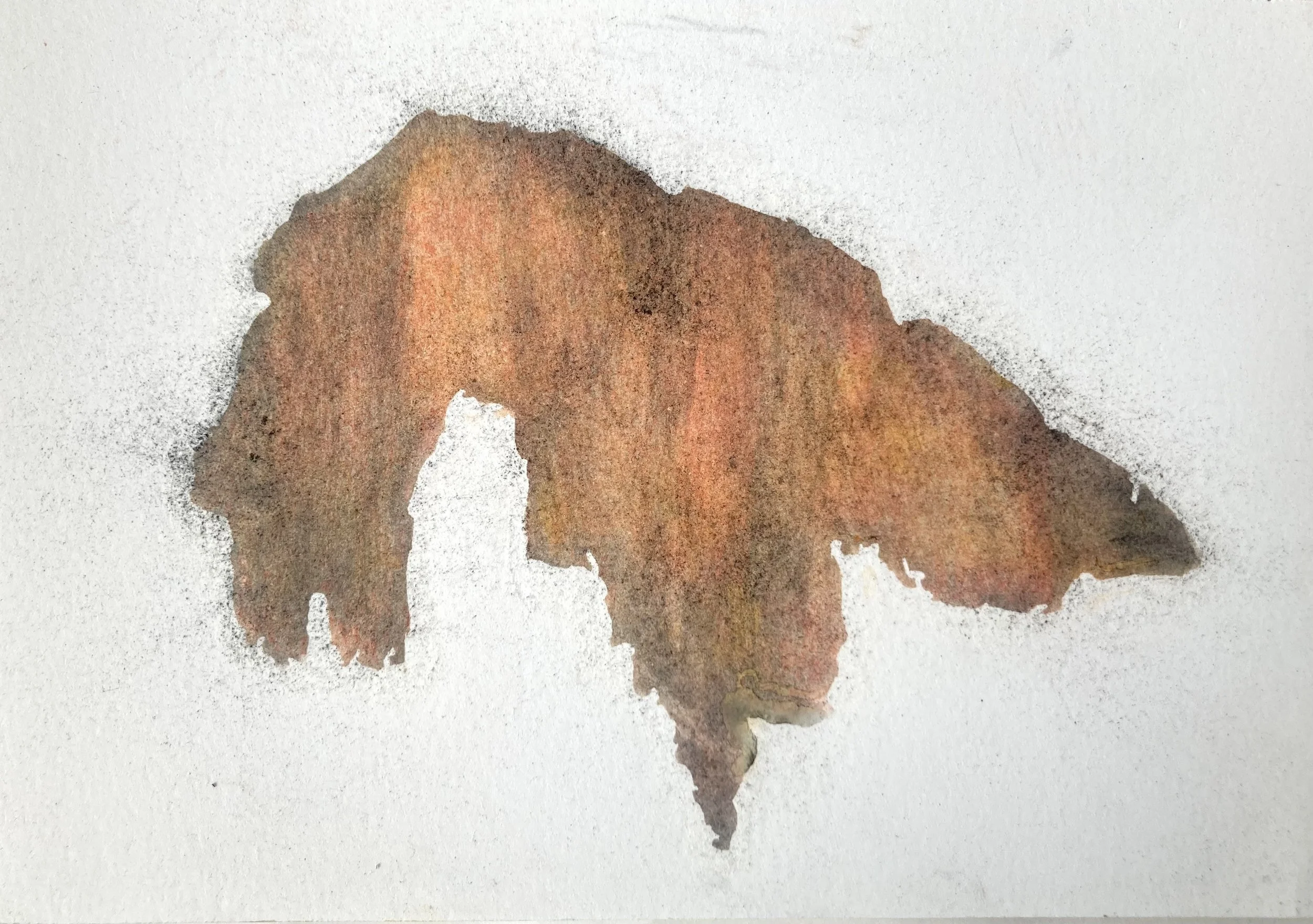 Bloom, pastel and graphite on paper, 15 x 21cm, 2025.jpeg