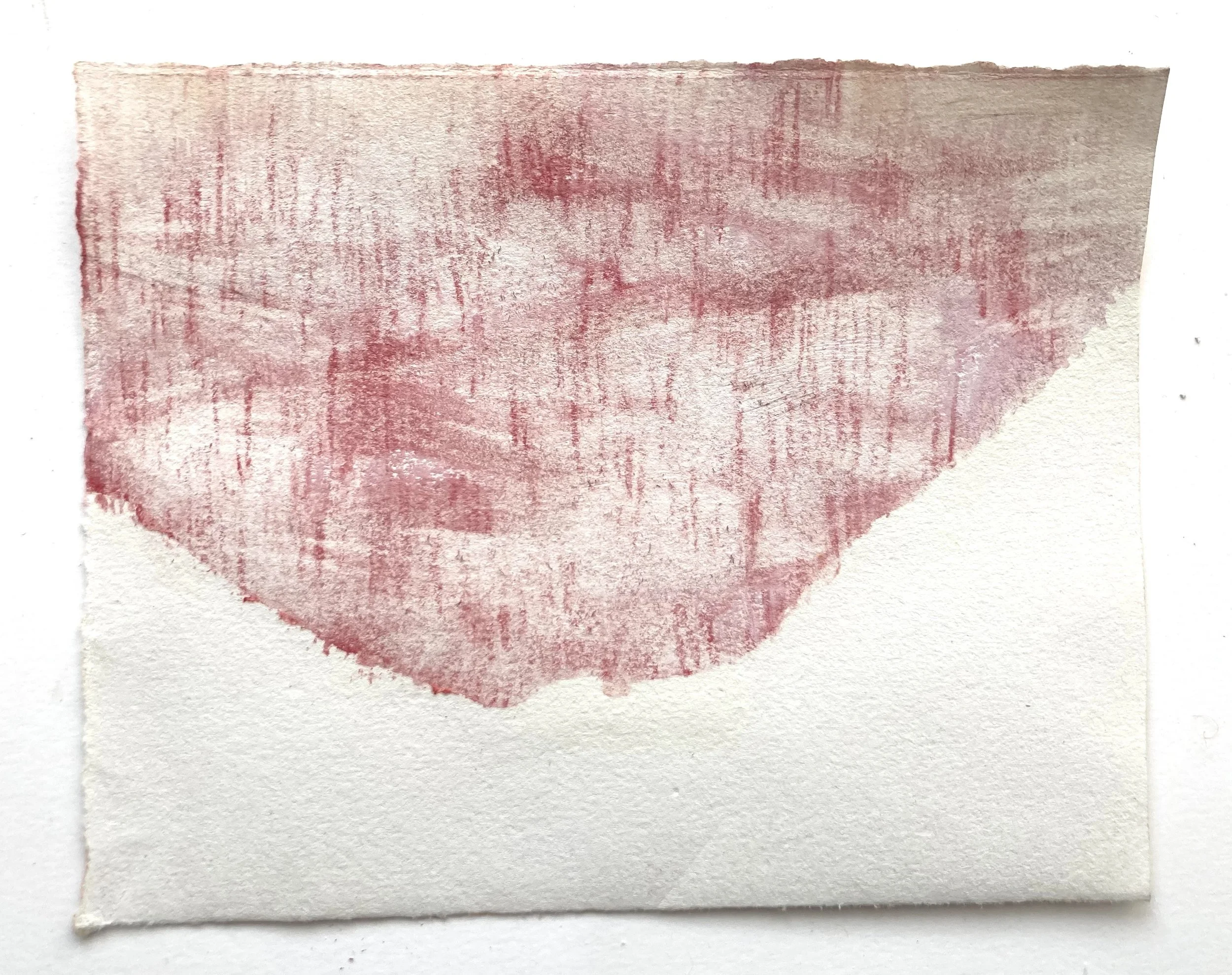 Blushing, 2025, pastel on paper, 15 x 20cm.jpeg