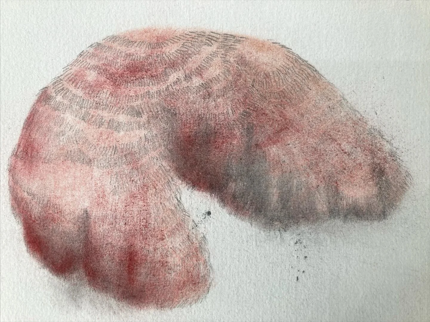 Cleft, pastel and graphite on paper, 2025, 20 x 24cm.jpg