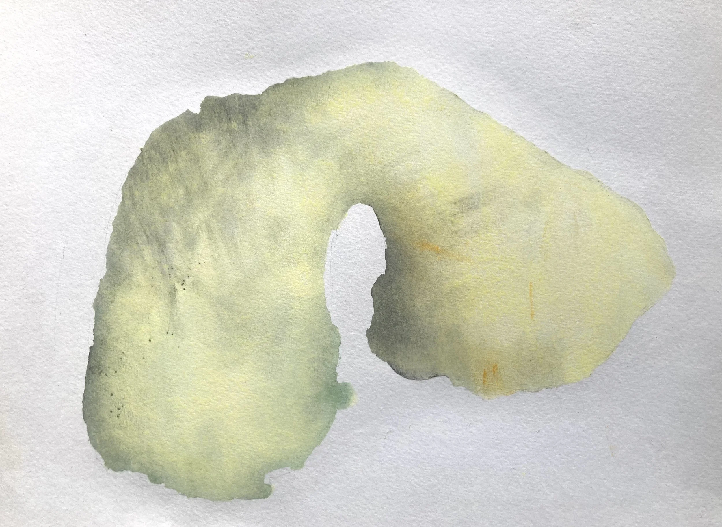 Thatch #18, pastel and graphite on paper, 18 x 24cm.jpeg