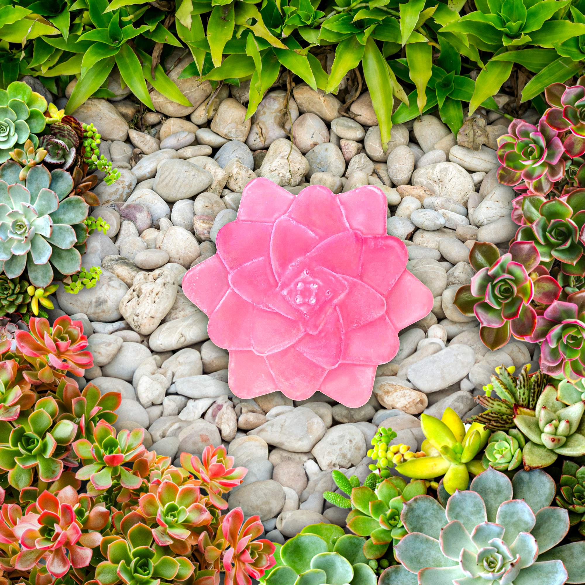 Succulent Soap