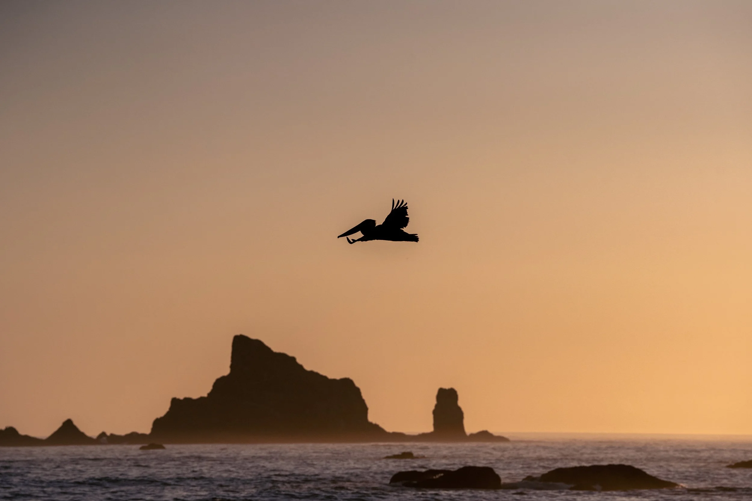 Olympic National Park | USA