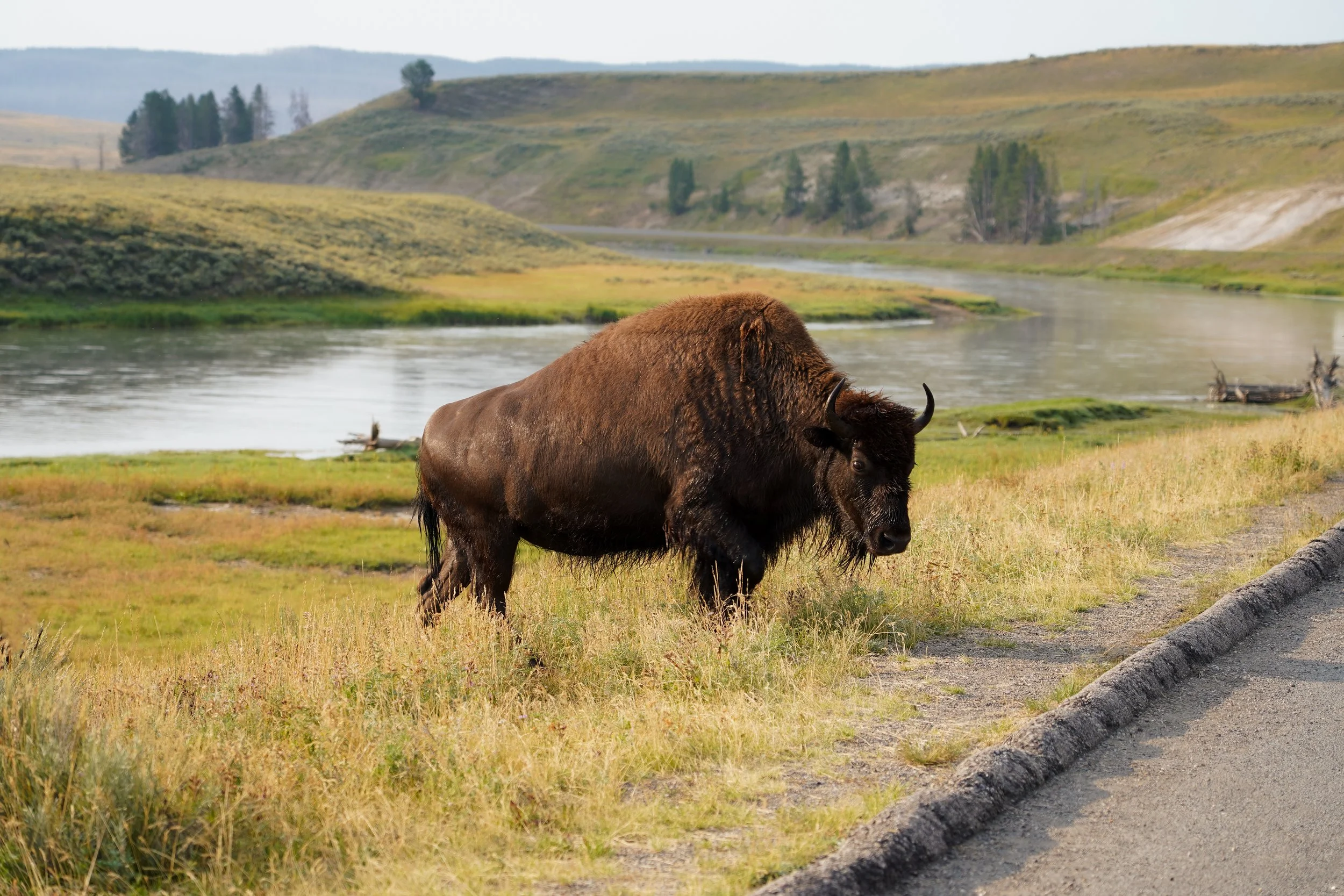Yellowstone | Wyoming