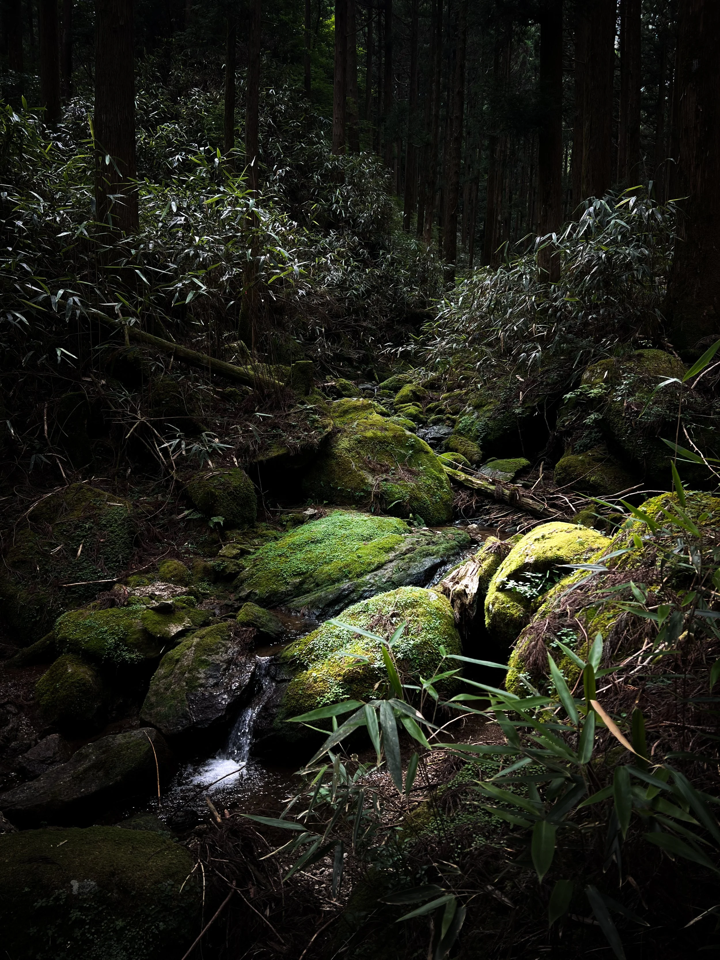 Kumano Kodo (UNESCO) | Japan
