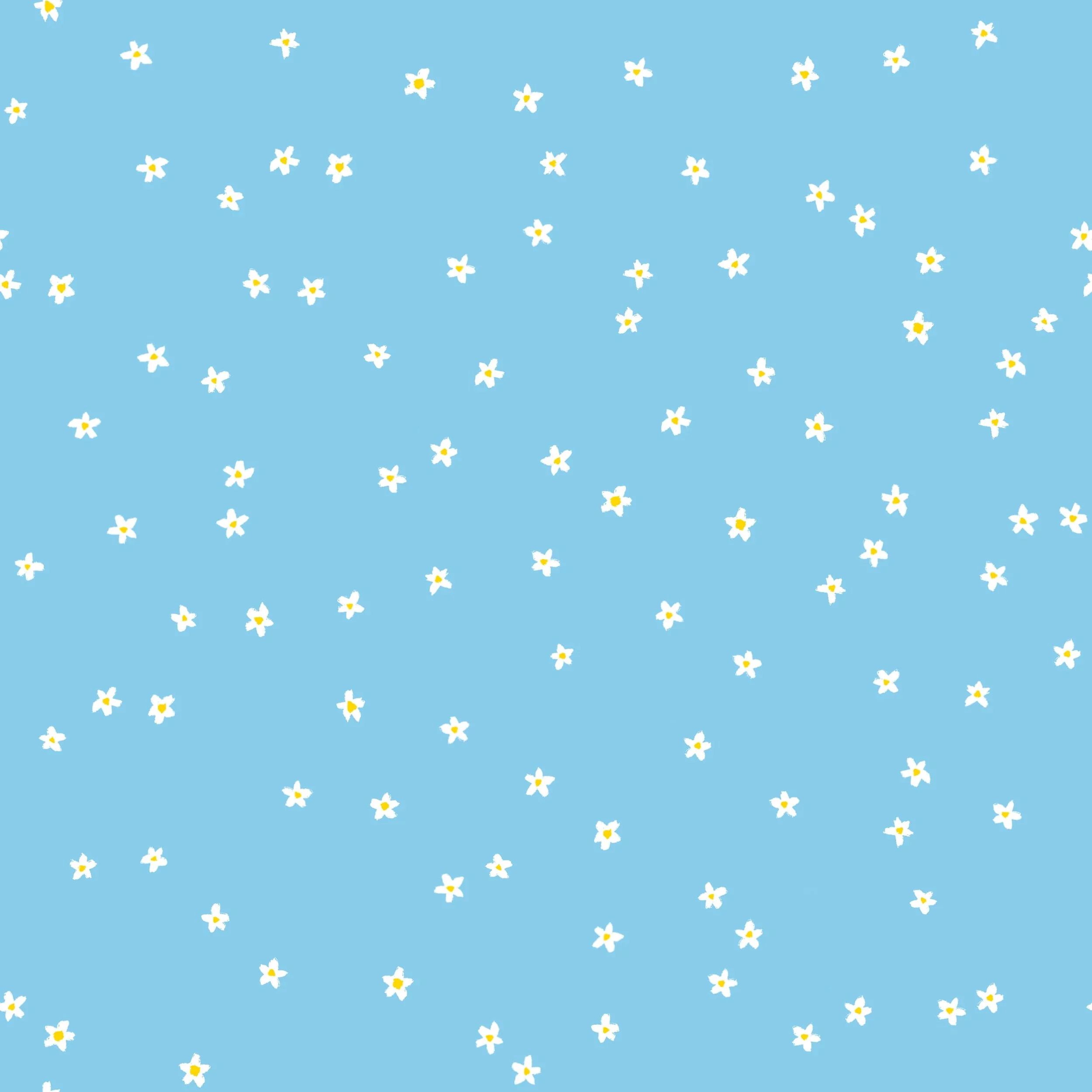 Field of Daisies - baby blue.jpg