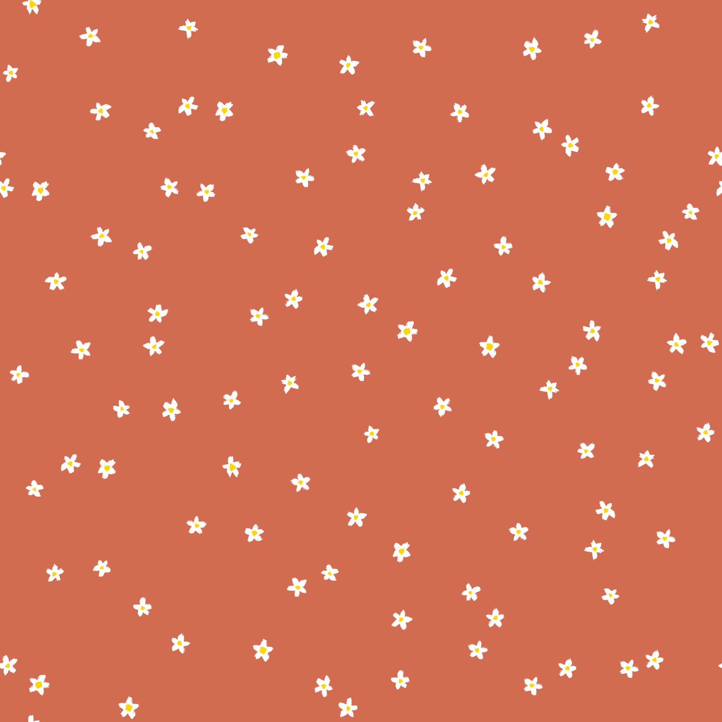 Field of daisies - dusy orange.jpg