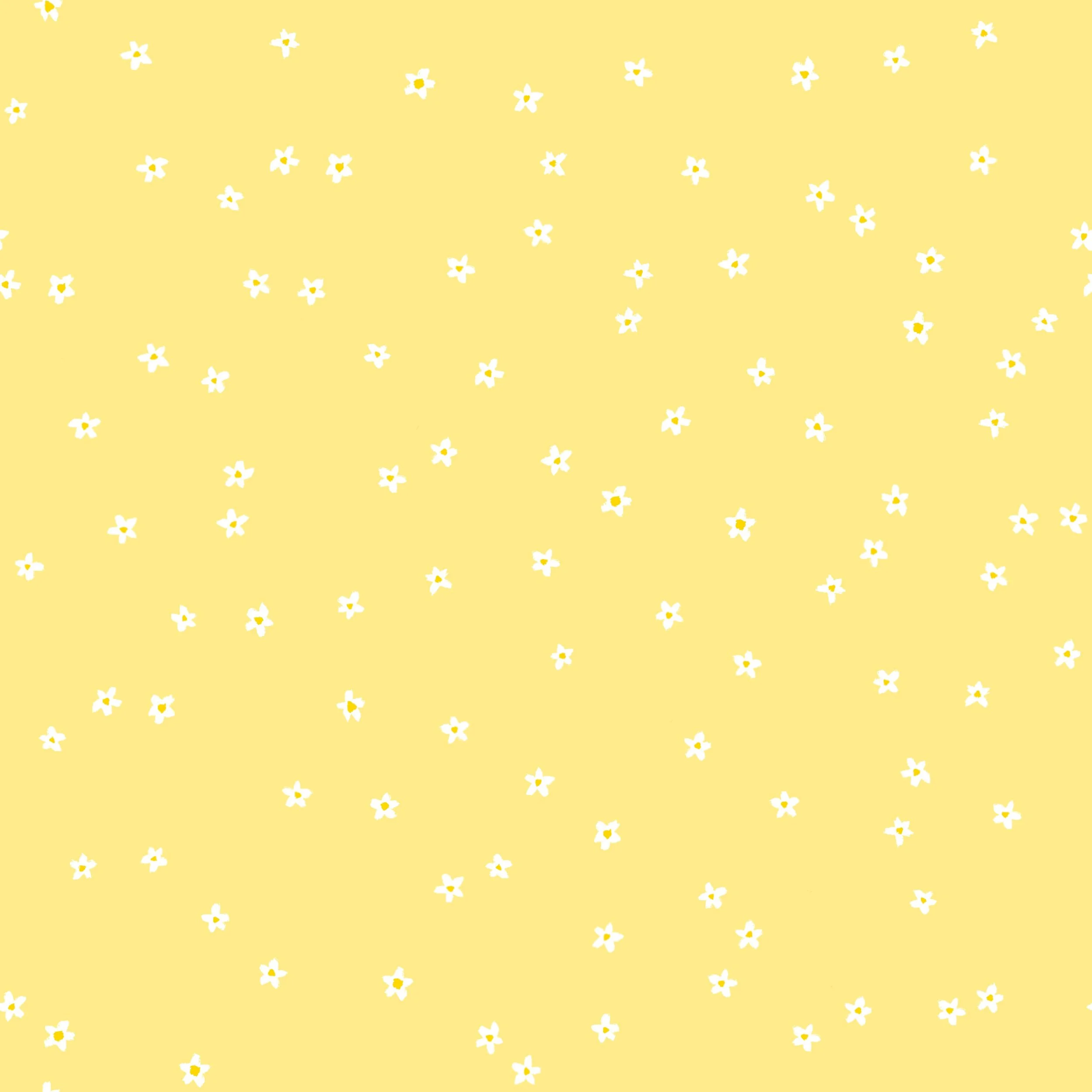 Field of daisies - yellow.jpg