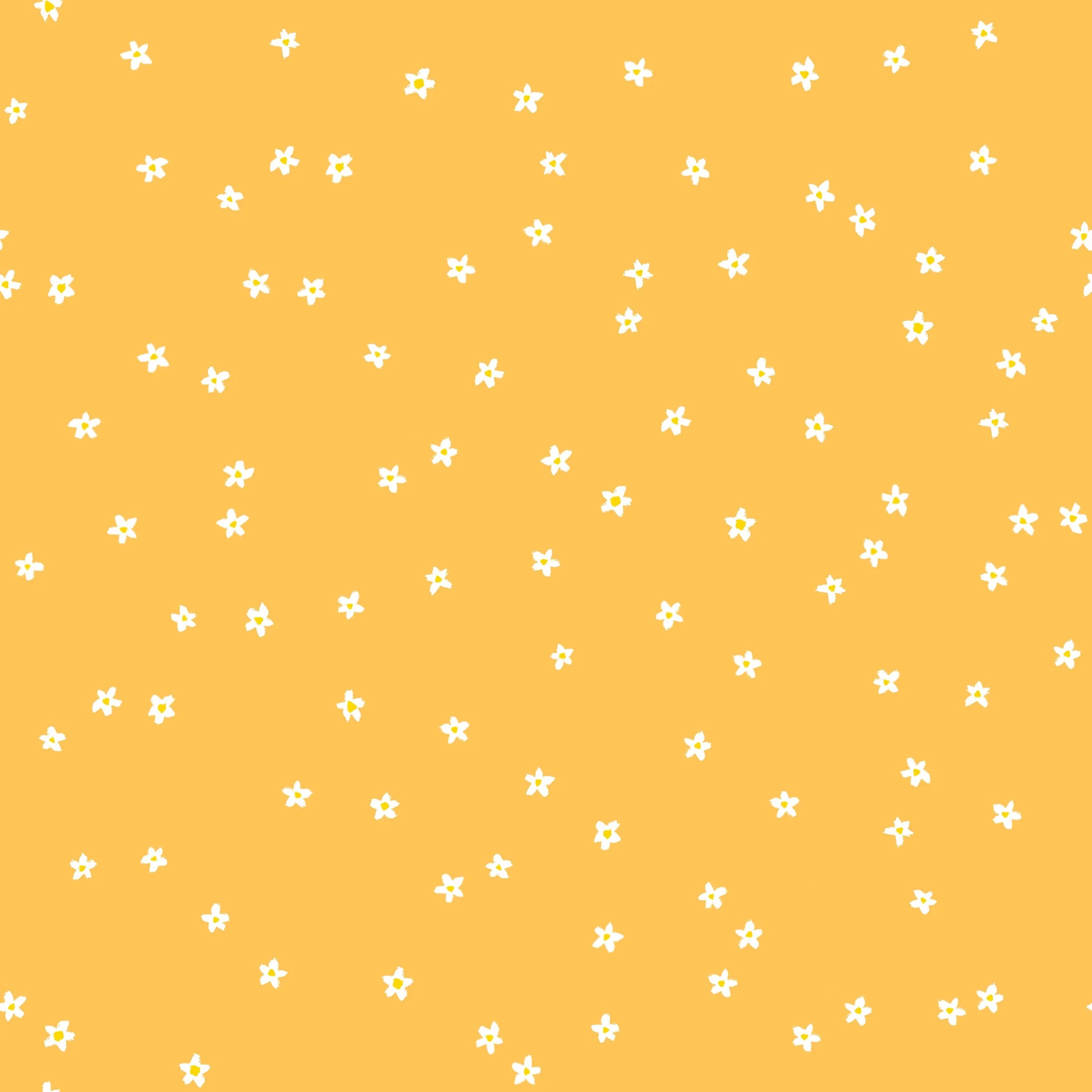 Field of daisies - mustard yellow.jpg