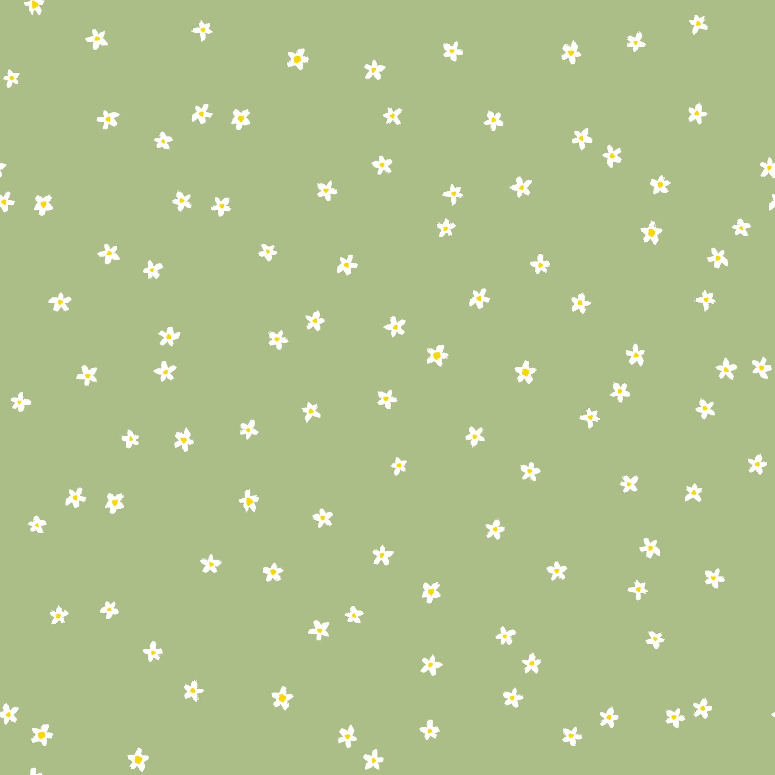 Field of daisies - green.jpg