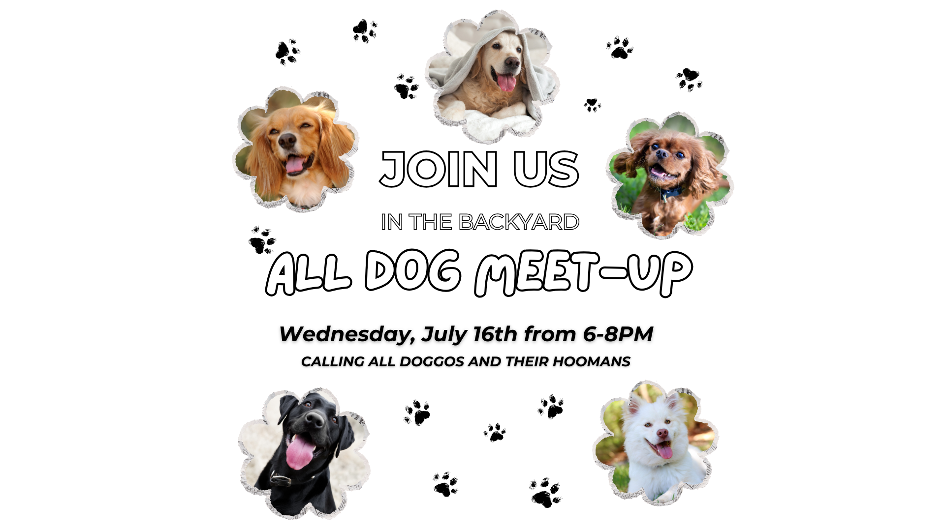 ALL DOG MEET UP