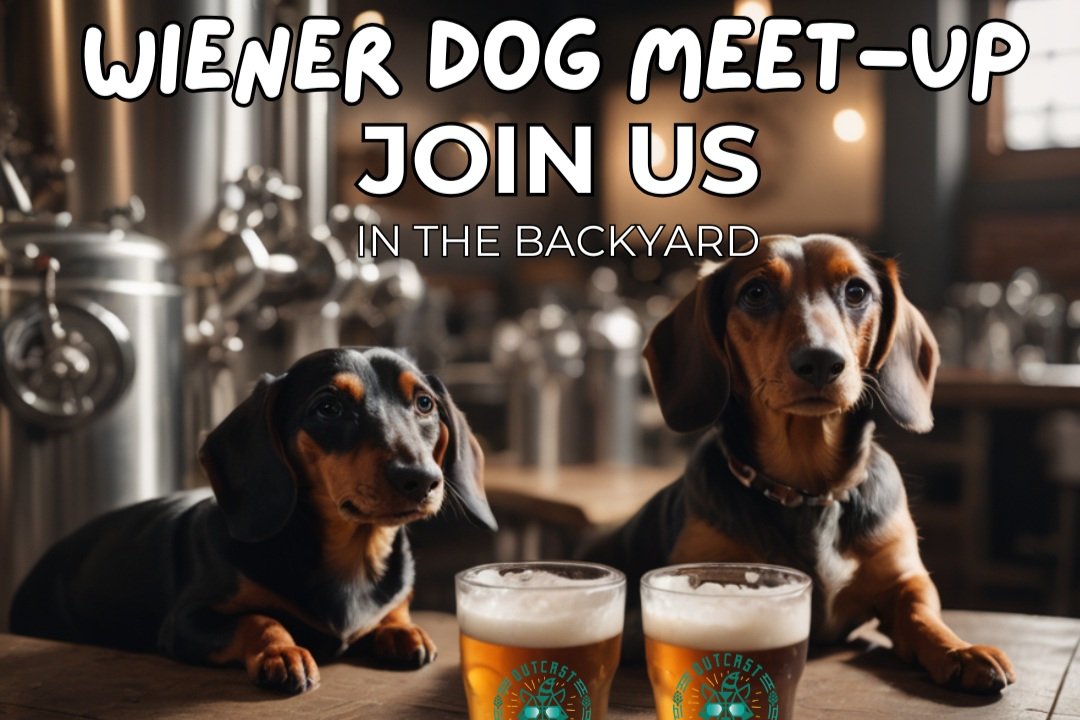 WEINER DOG MEET UP