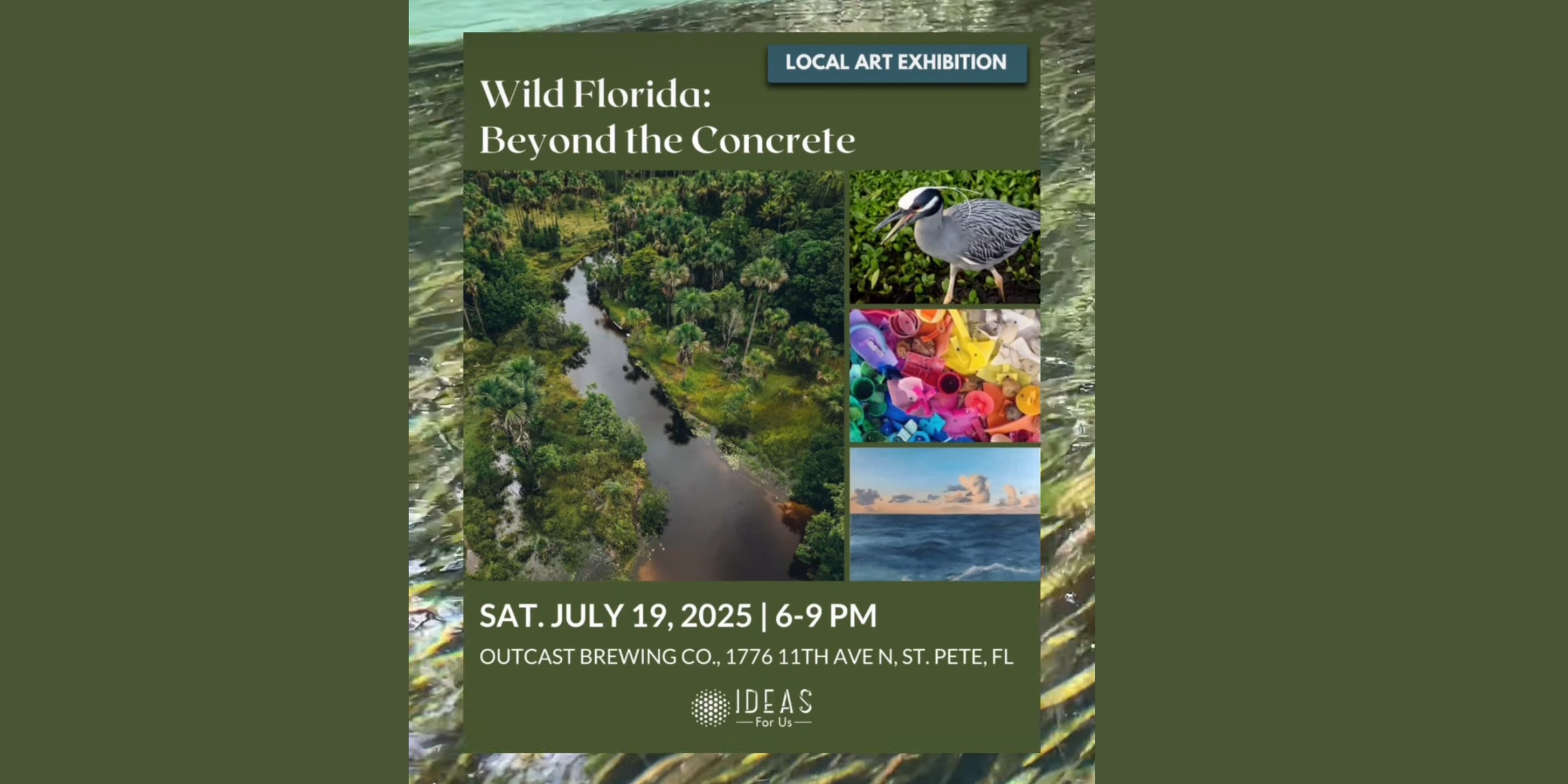 Wild Florida: Beyond The Concrete Art Exhibition
